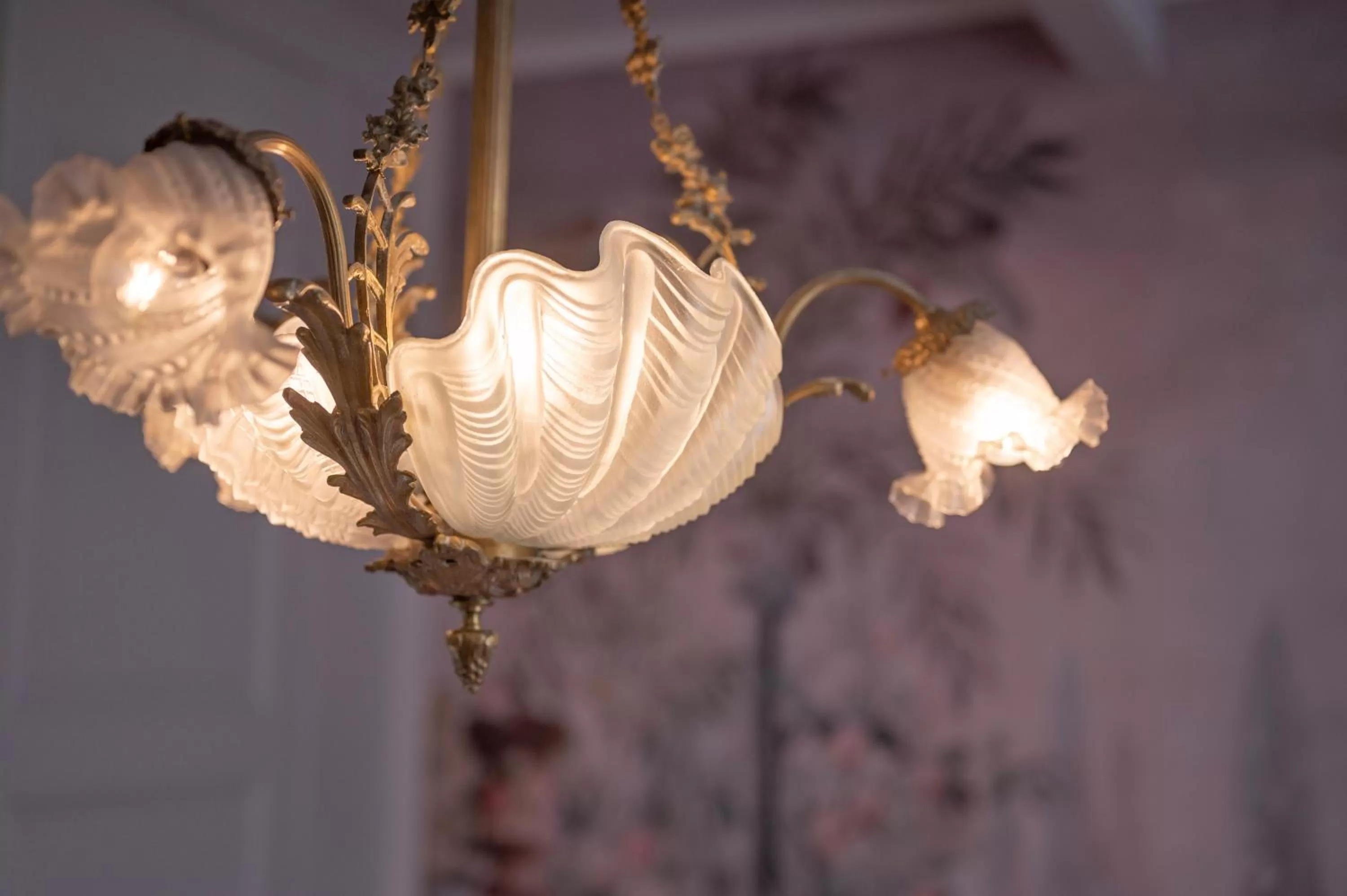 les Myrrhophores et Spa, Chambres d'Hôtes et Gîtes de charme