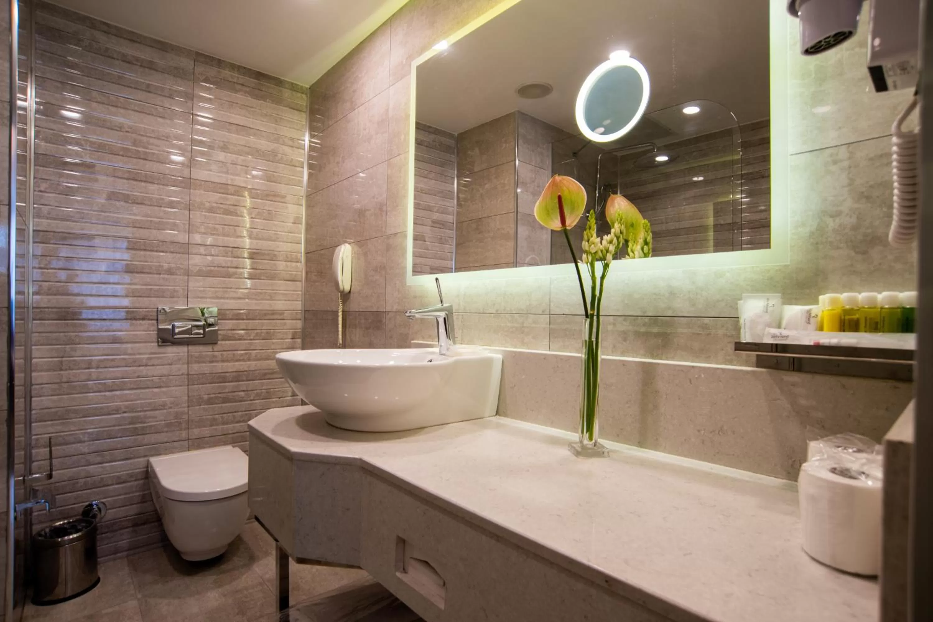 Bathroom in Richmond Istanbul