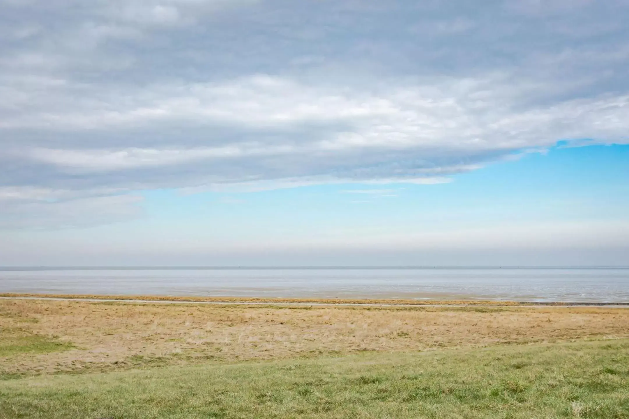 Natural Landscape in B&B Villa Nieuwland