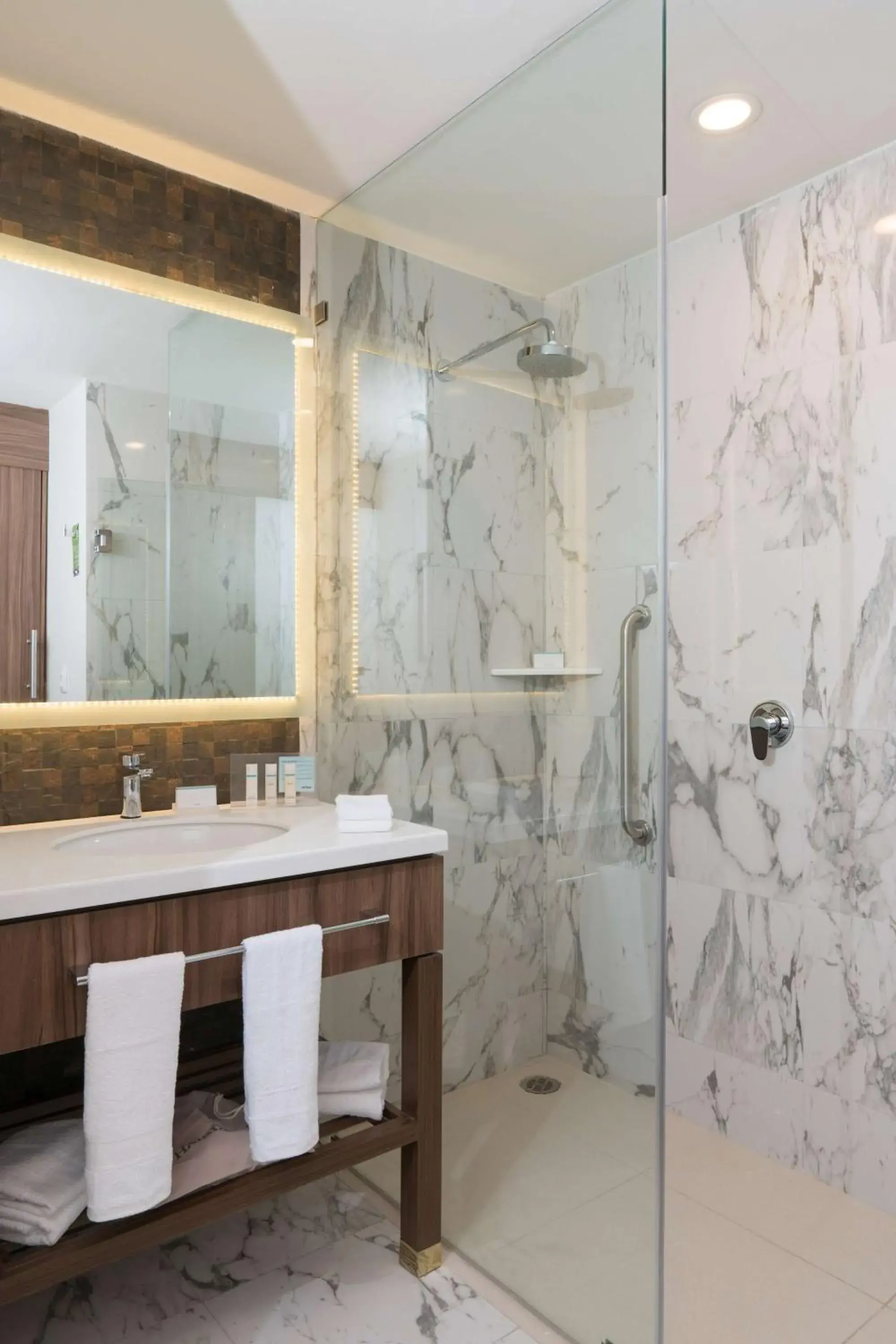 Bathroom in Hampton Inn by Hilton Irapuato