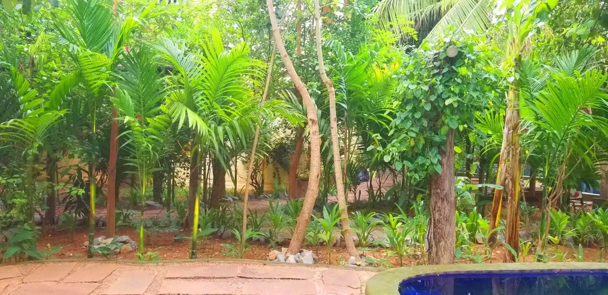 Garden in Le Jardin d'Angkor Hotel & Resort