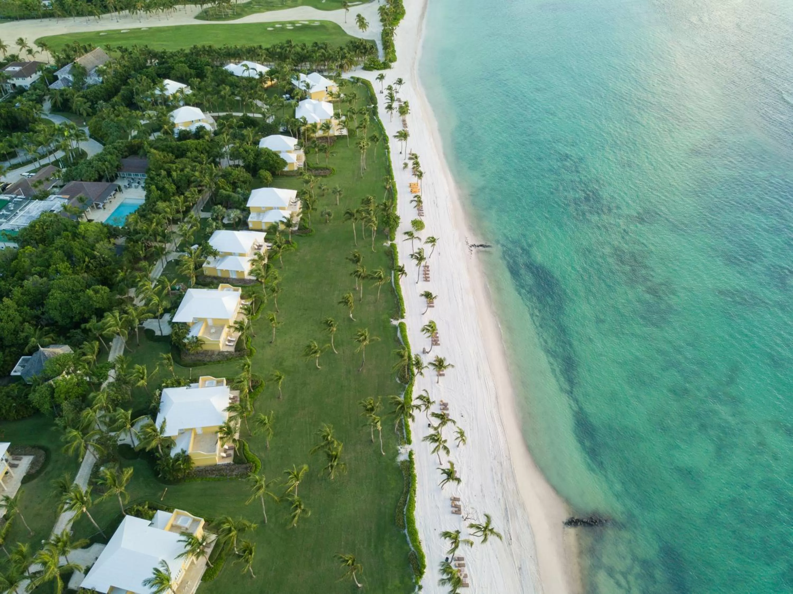 Bird's eye view in Tortuga Bay