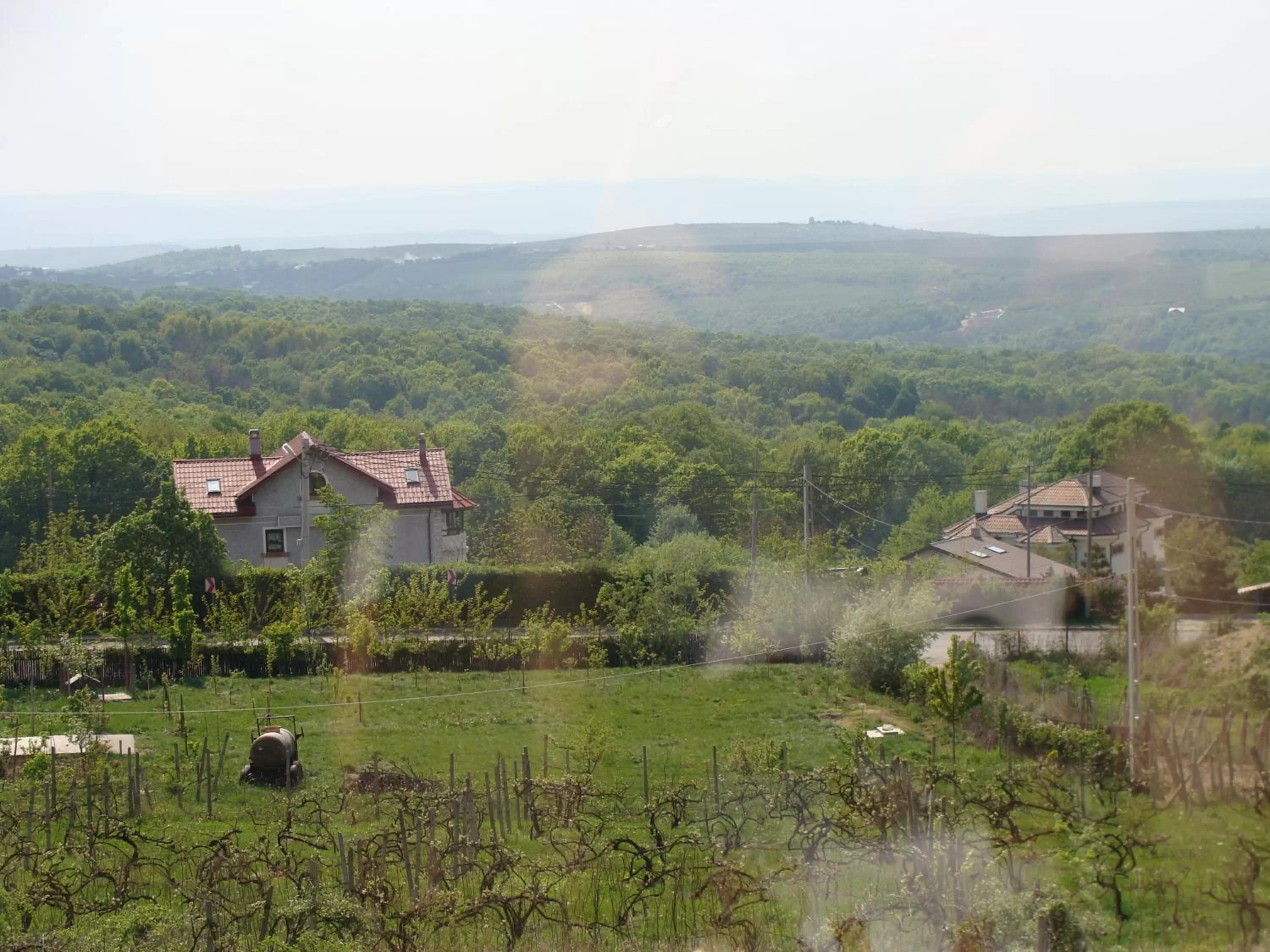 Day in Pensiunea Taverna Bucium