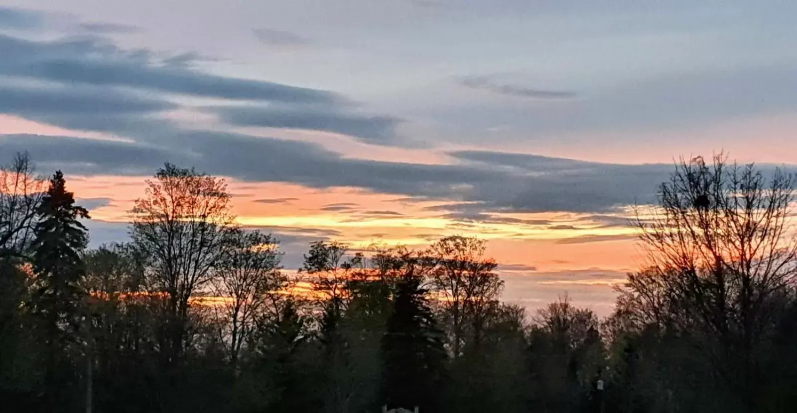 Natural landscape in THE ASHWOOD INN