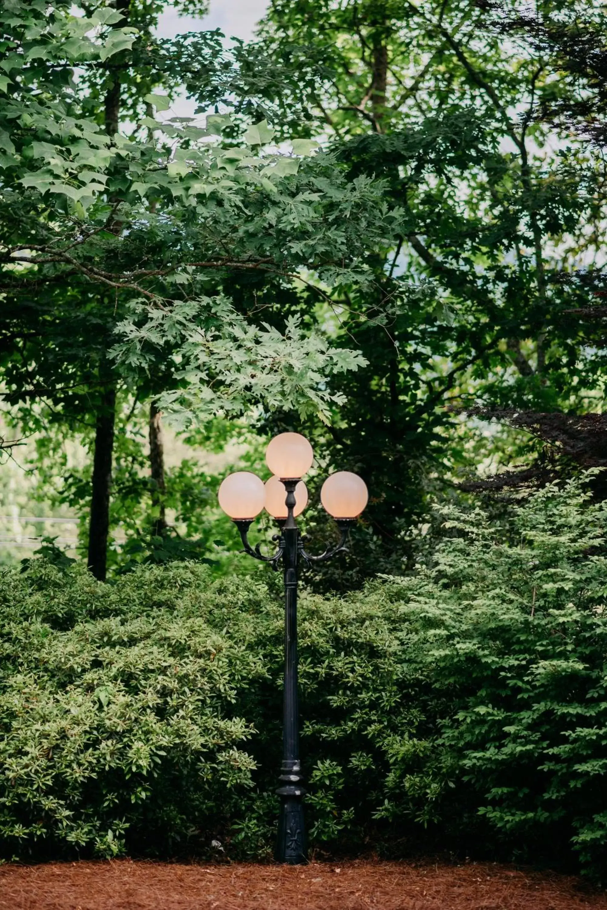 Garden in Sylvan Valley Lodge and Cellars