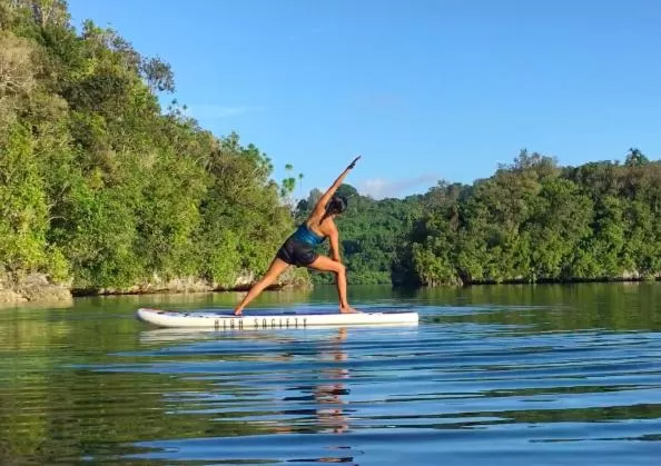 Windsurfing in Yogi Dives B&B