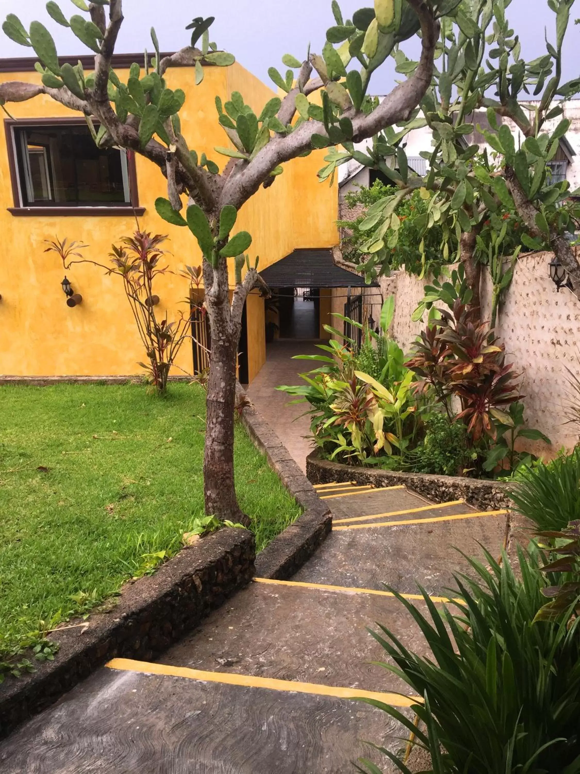 Day, Garden in Hotel Rinconada del Convento