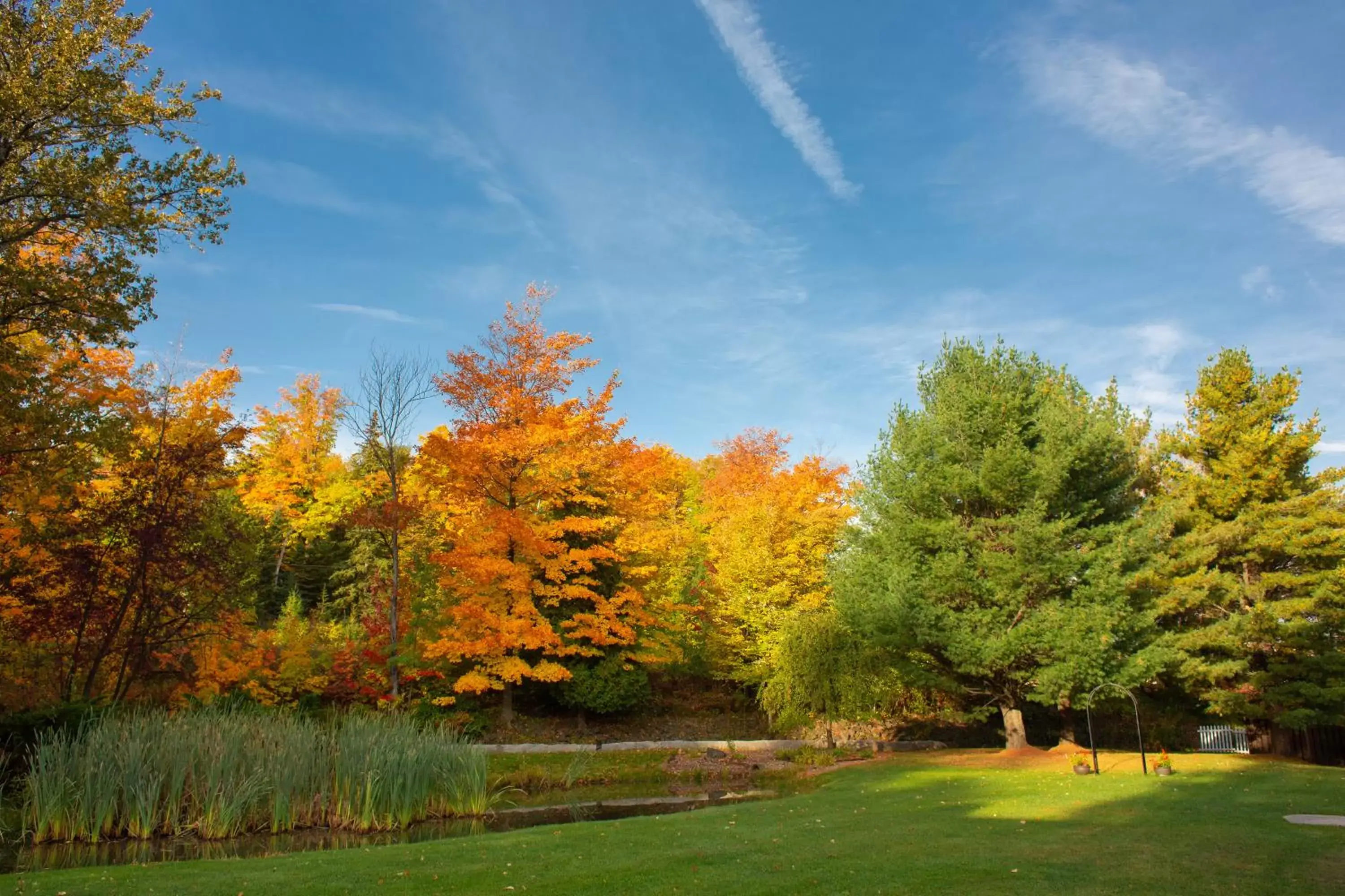 Garden in Holiday Inn Marquette, an IHG Hotel