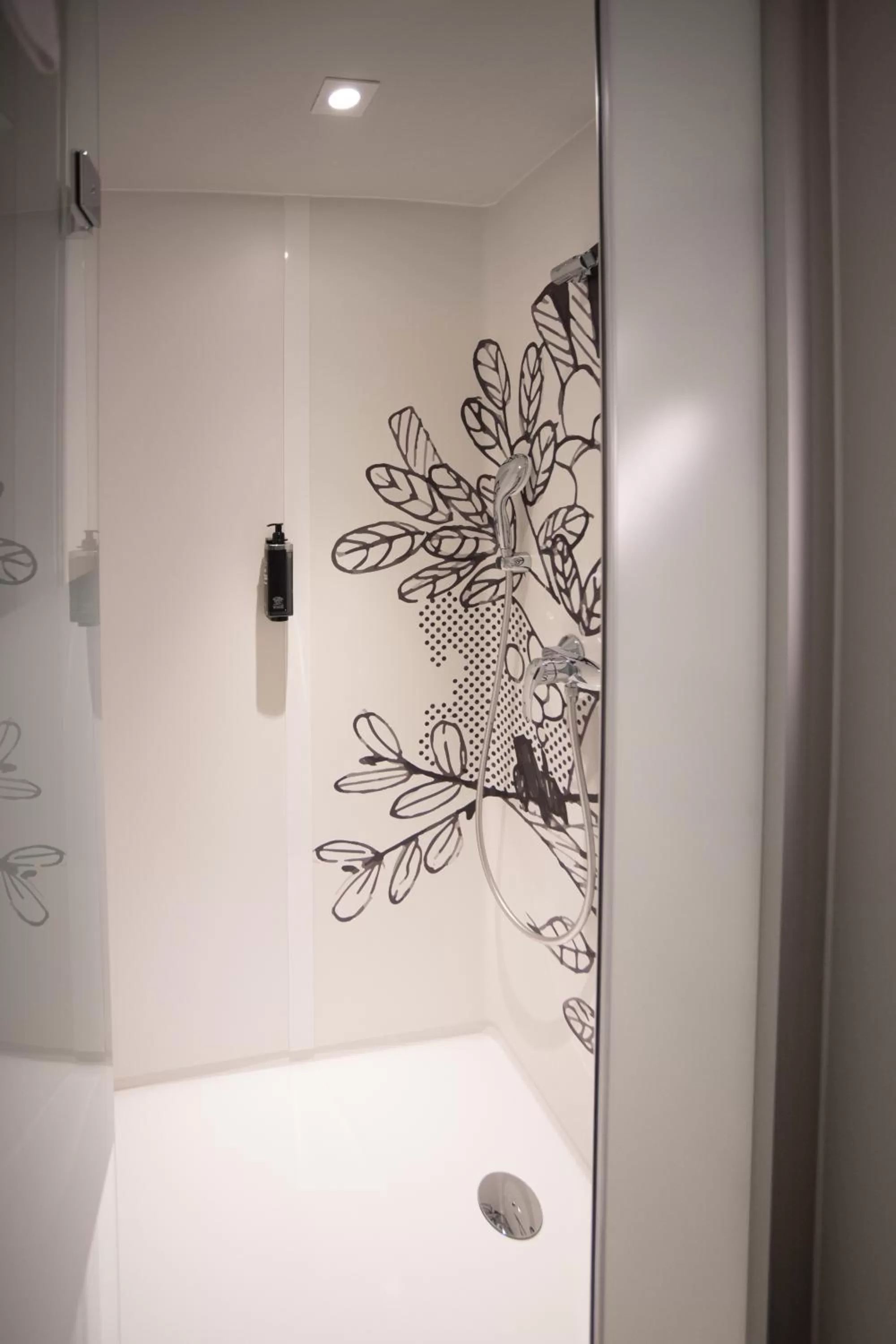 Shower in ibis budget Fribourg