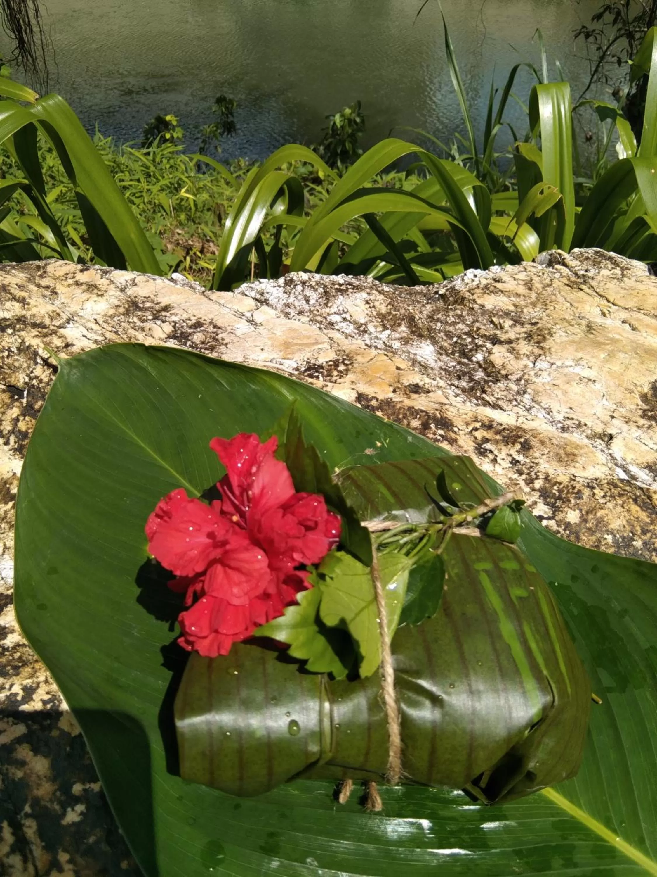 Hiking in Khao Sok River & Jungle Resort