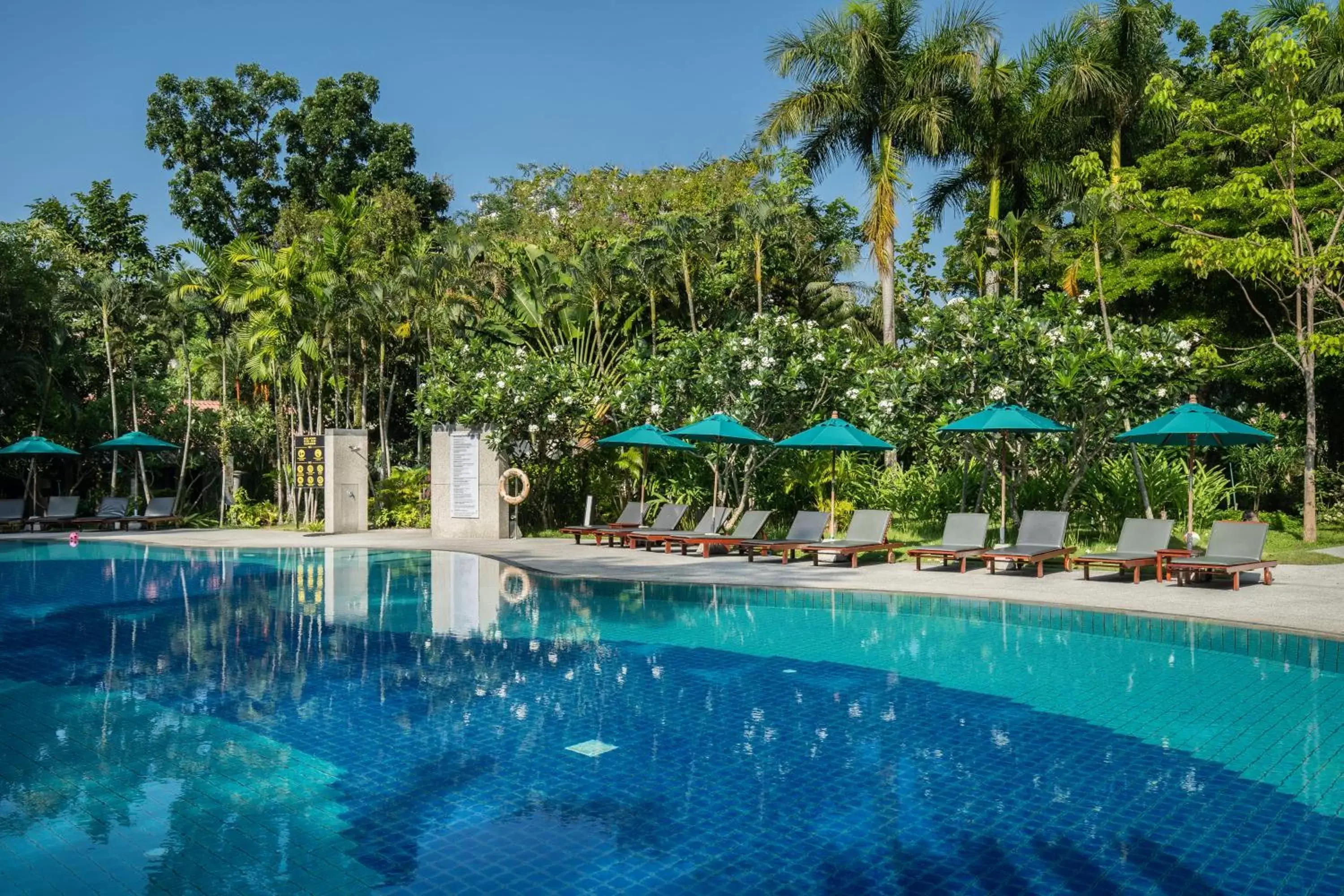 Swimming Pool in Deevana Patong Resort & Spa - SHA Extra Plus