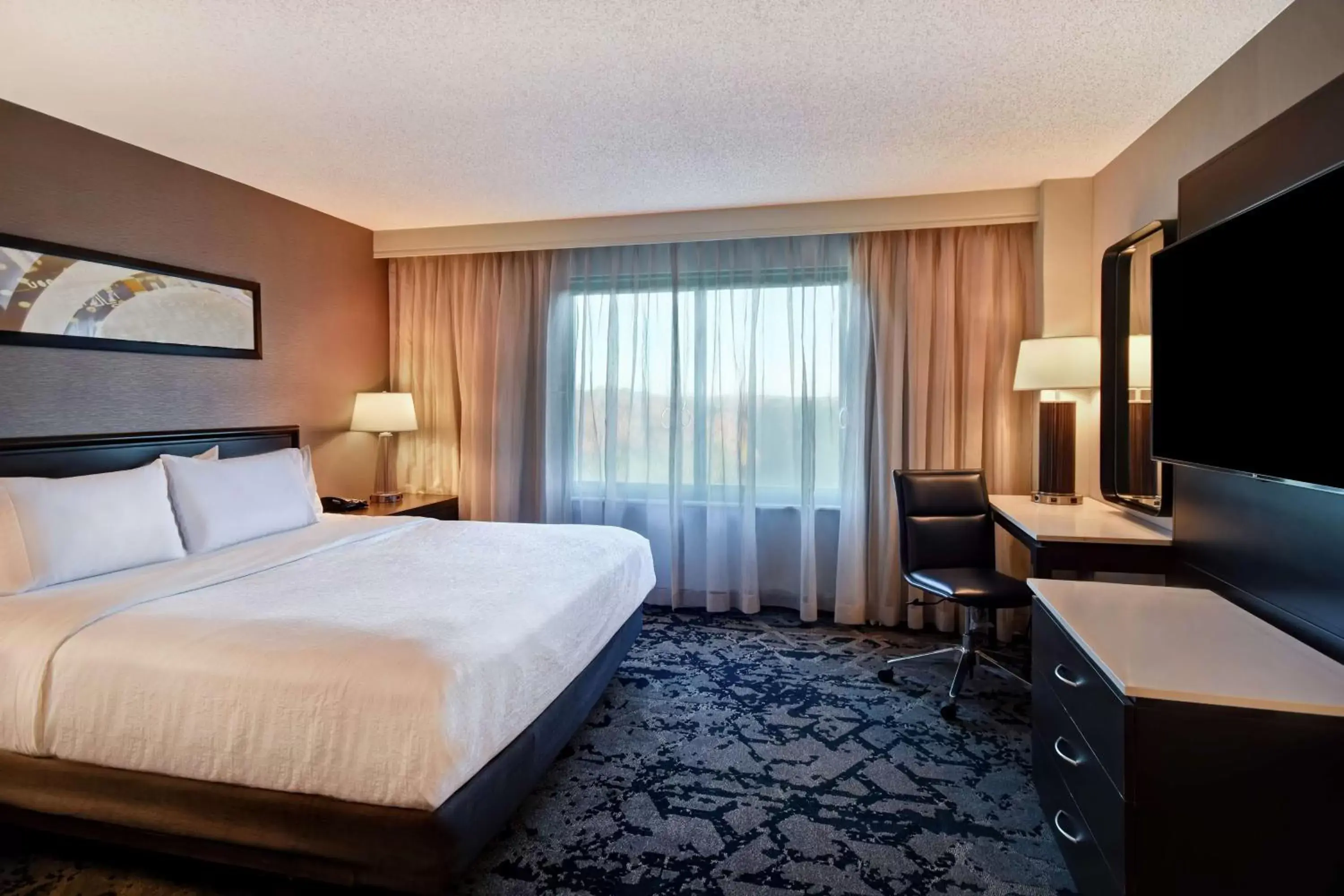 Bed, TV/Entertainment Center in Embassy Suites by Hilton Raleigh Durham Research Triangle