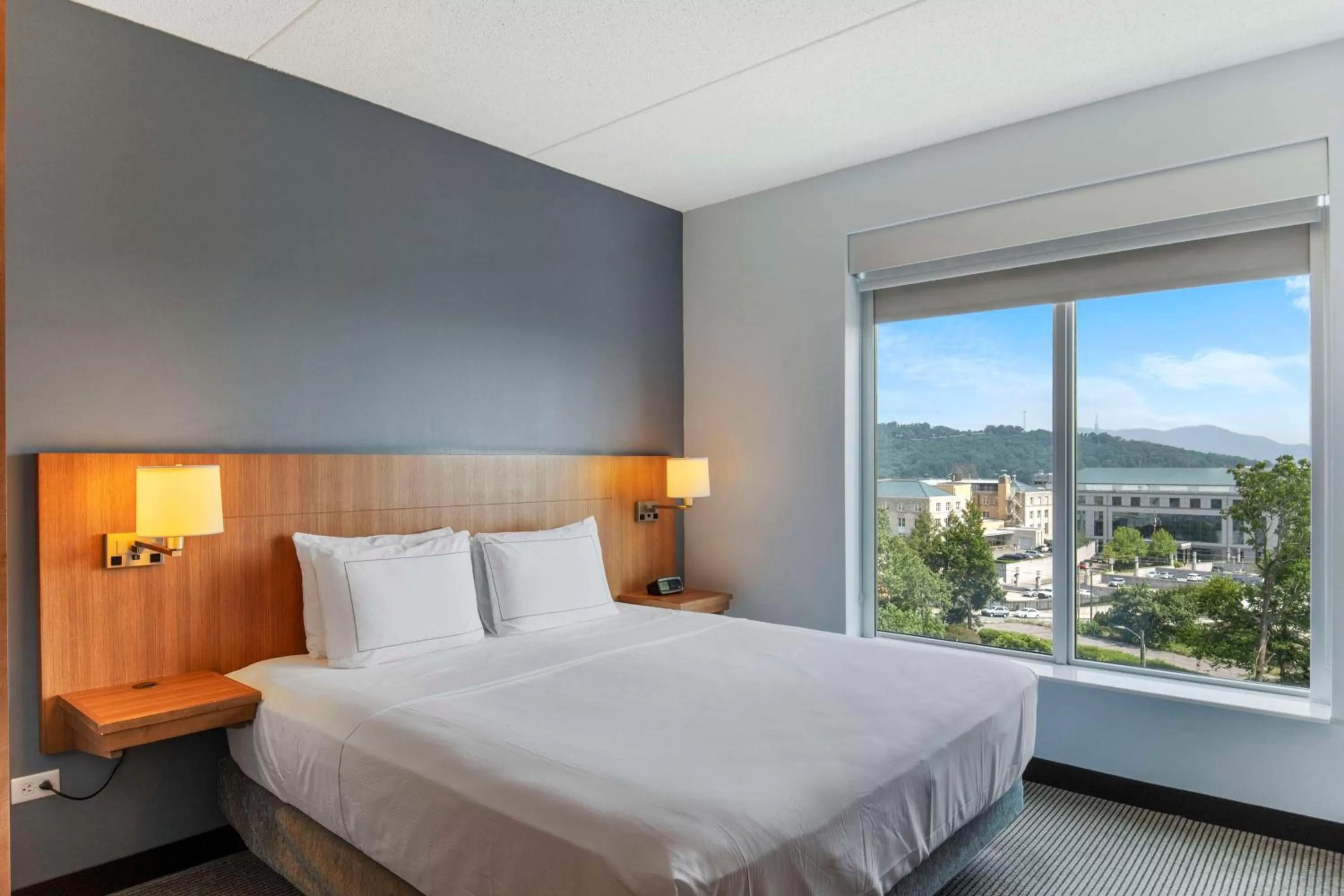 Bed in DoubleTree by Hilton Asheville Downtown