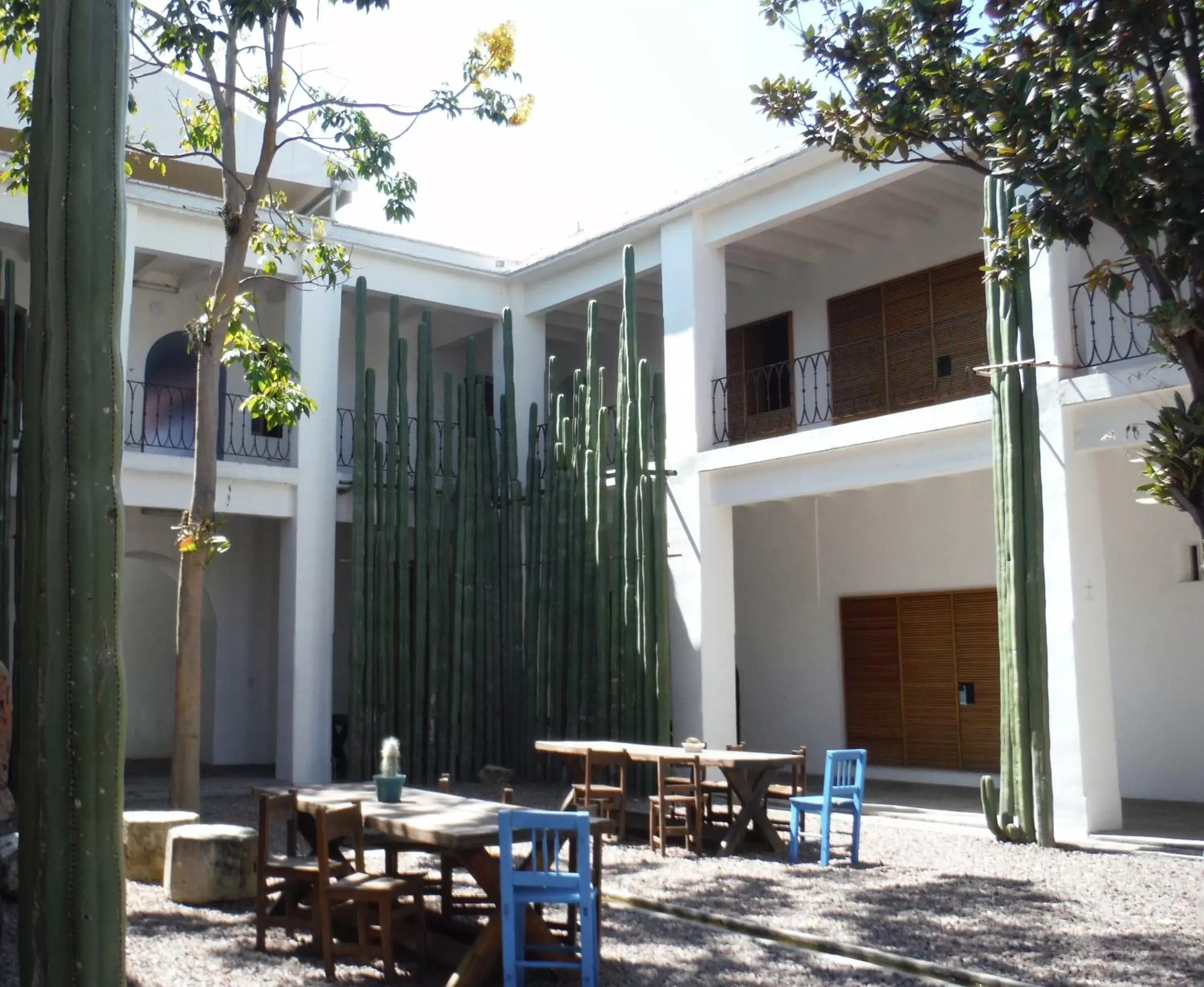Patio, Restaurant/Places to Eat in Hotel Azul de Oaxaca