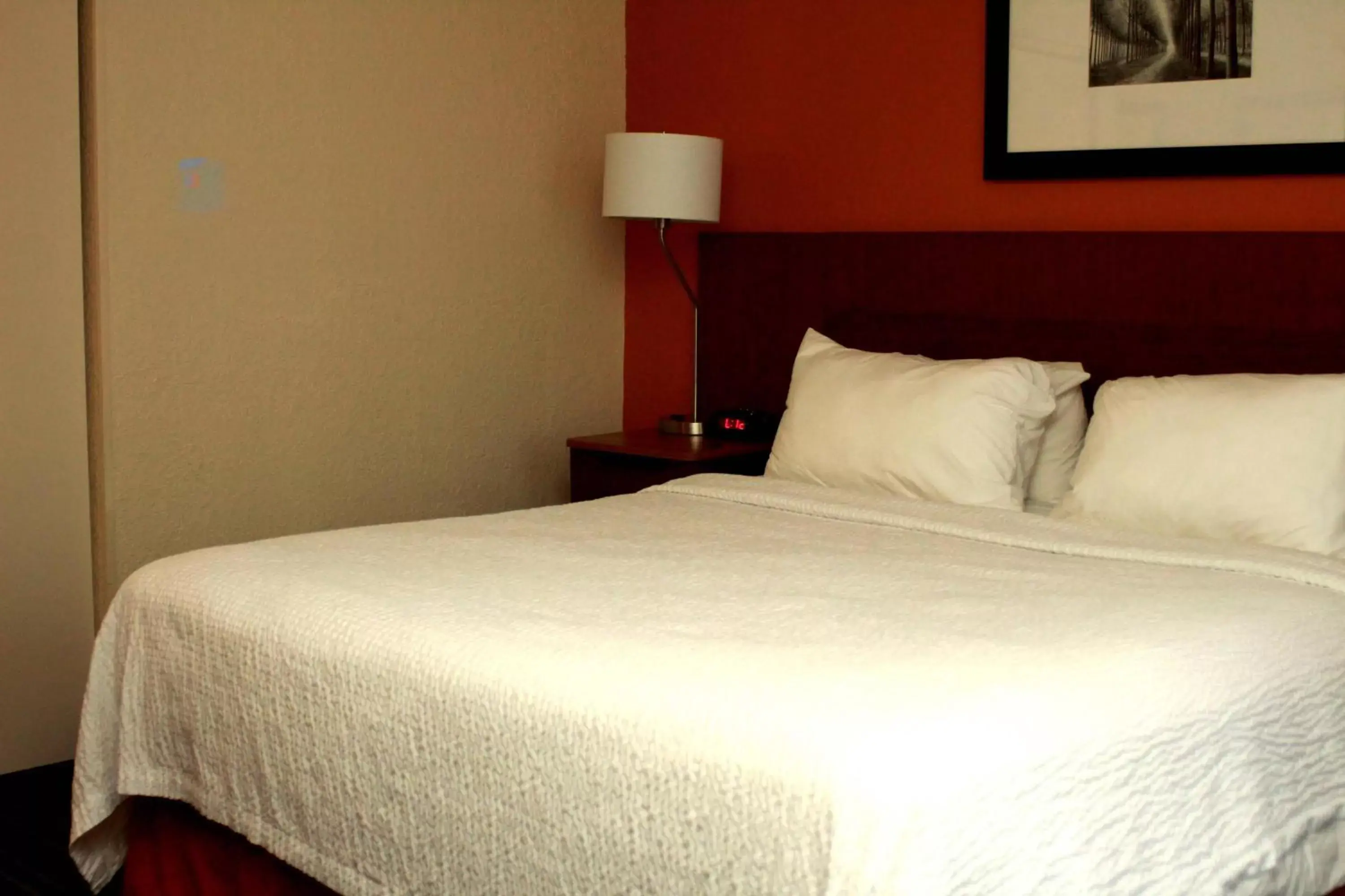 Photo of the whole room, Bed in Fairfield Inn & Suites by Marriott Fairmont