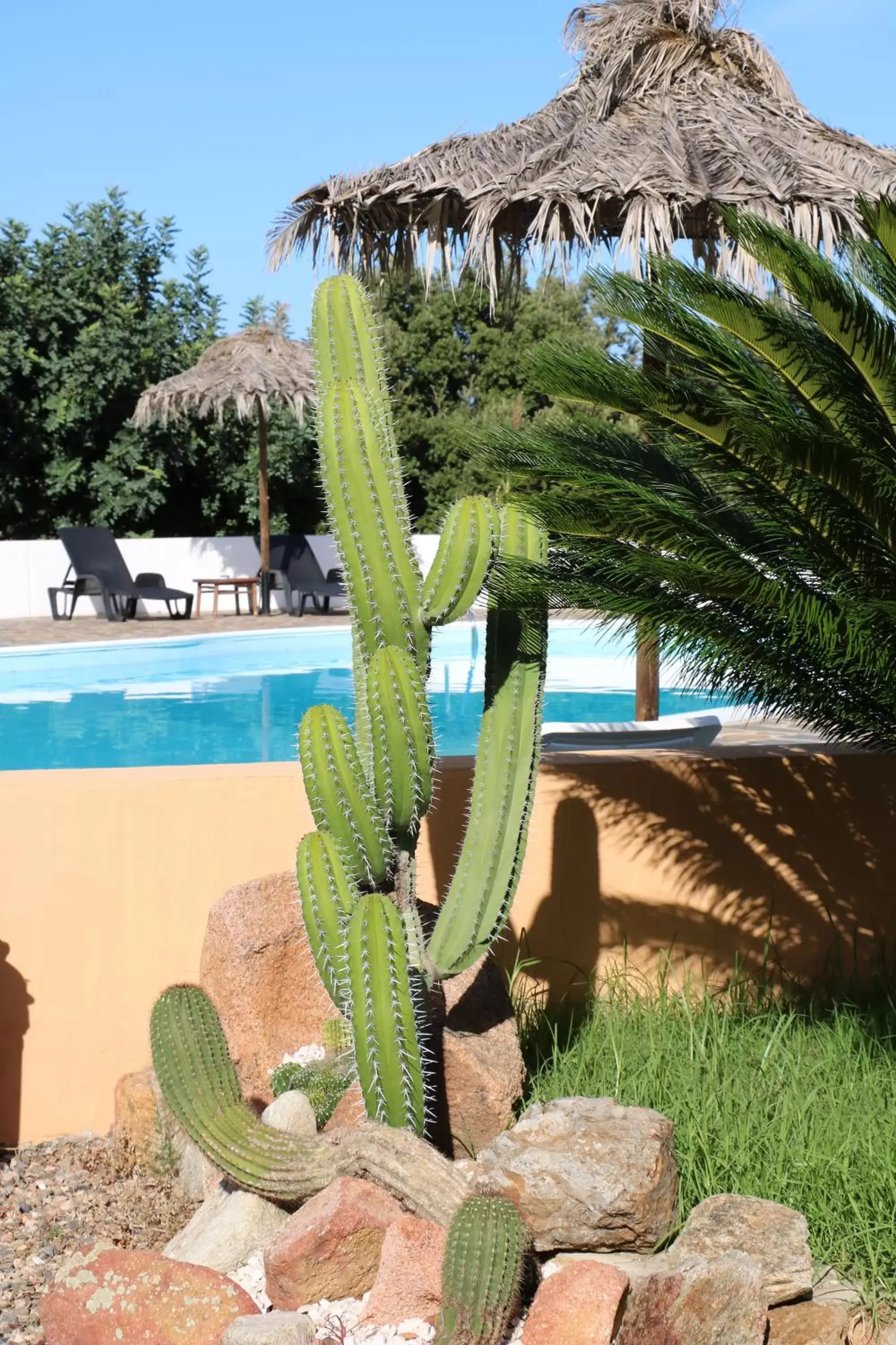 Day, Swimming Pool in Il Castello