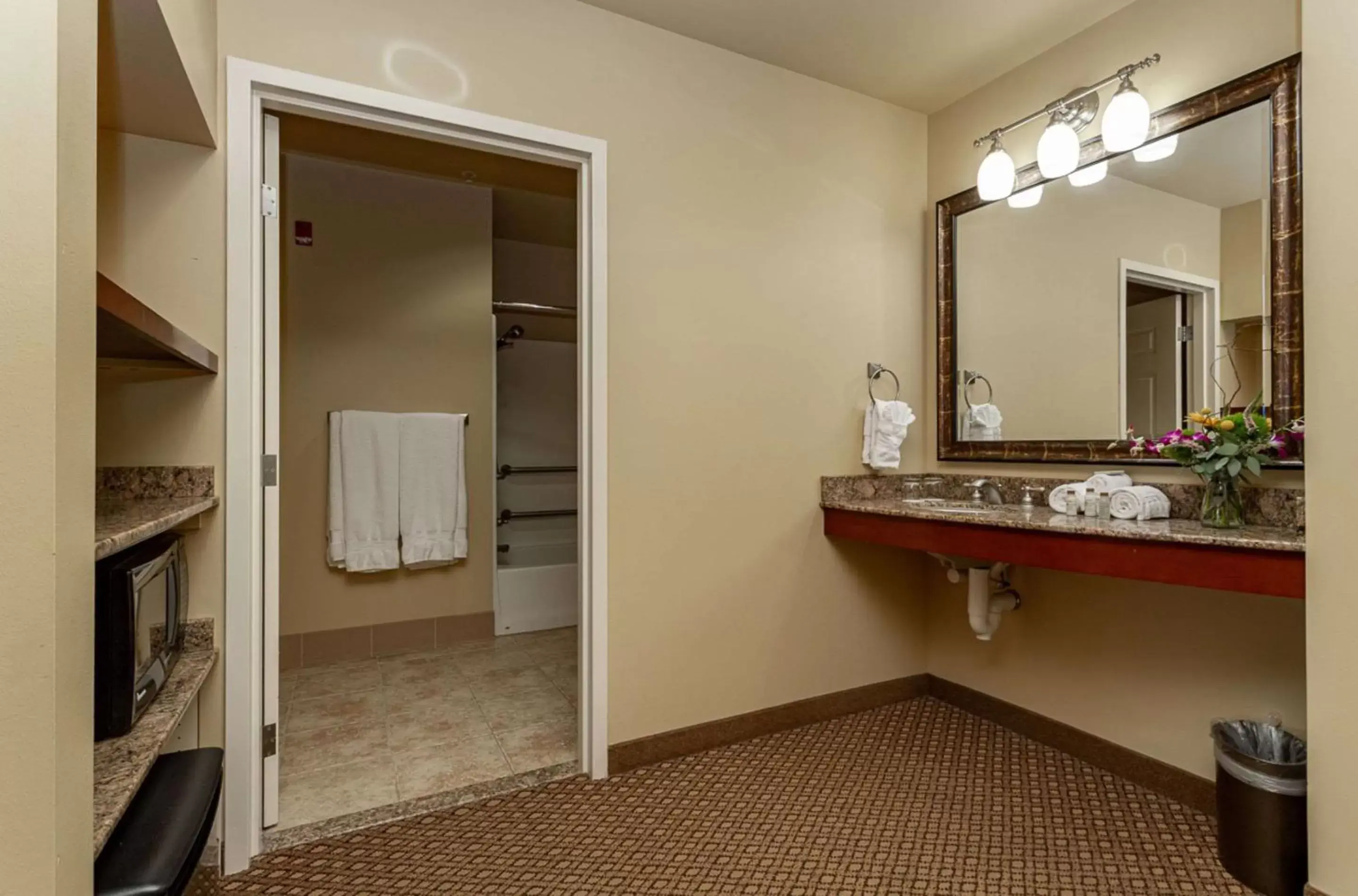 Bathroom in Jefferson Street Inn, a Member of Radisson Individuals