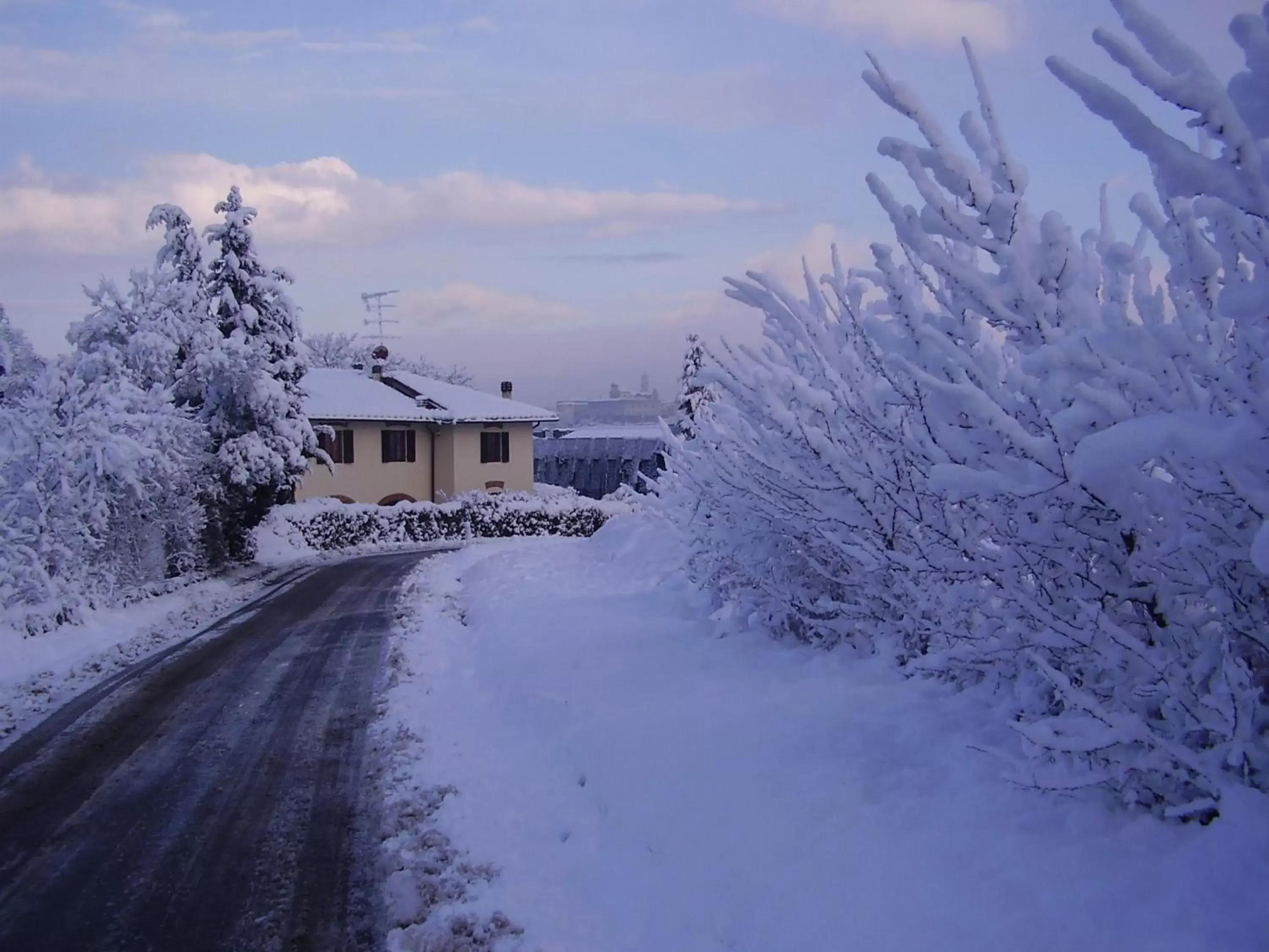 Other, Winter in Il Poggiolo Delle Rose Bed&Breakfast