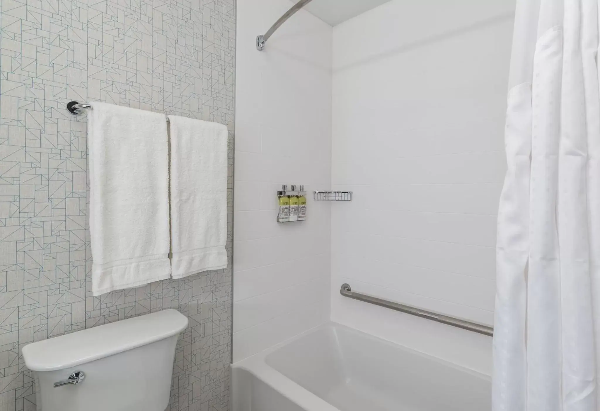 Bathroom in Holiday Inn Express & Suites - Brandon, an IHG Hotel