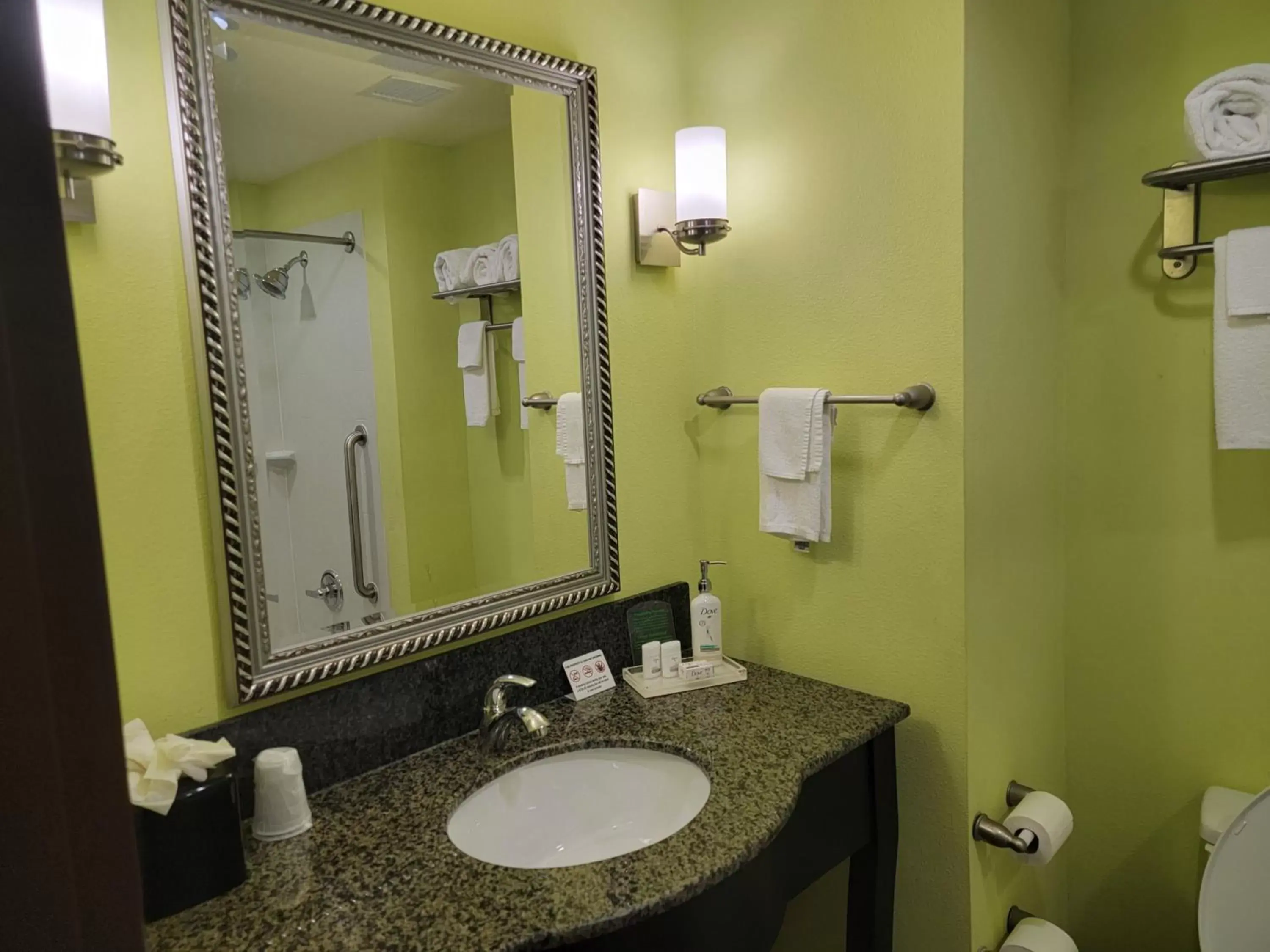 Bathroom in Holiday Inn Garland, an IHG Hotel