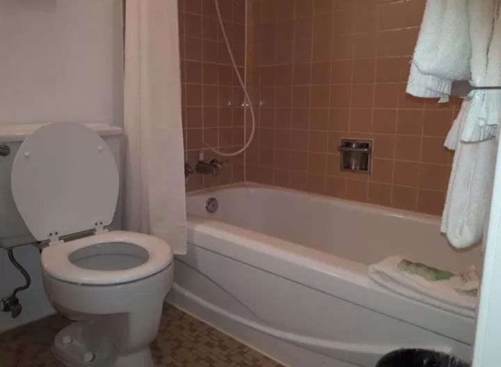 Bathroom in Falcon Nest Motel