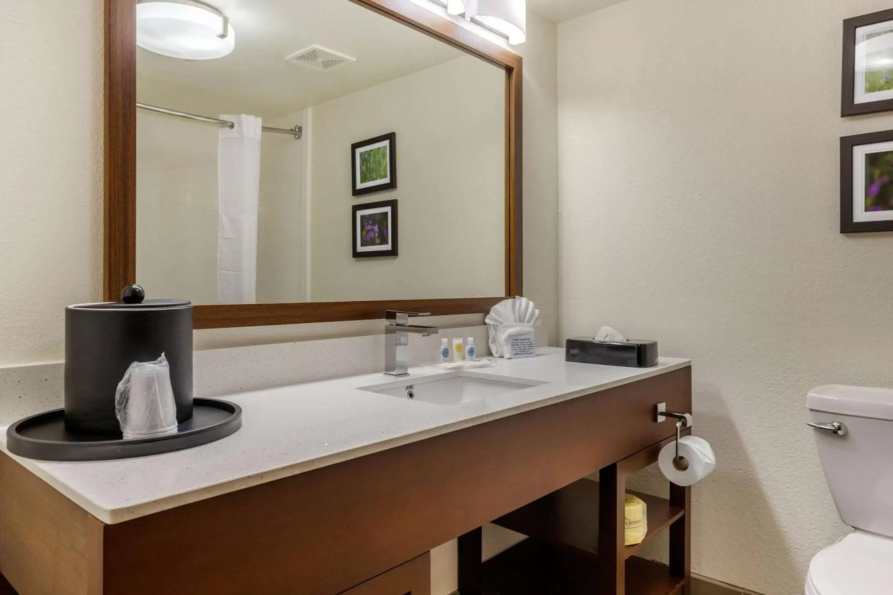 Photo of the whole room, Bathroom in Comfort Suites Hanes Mall