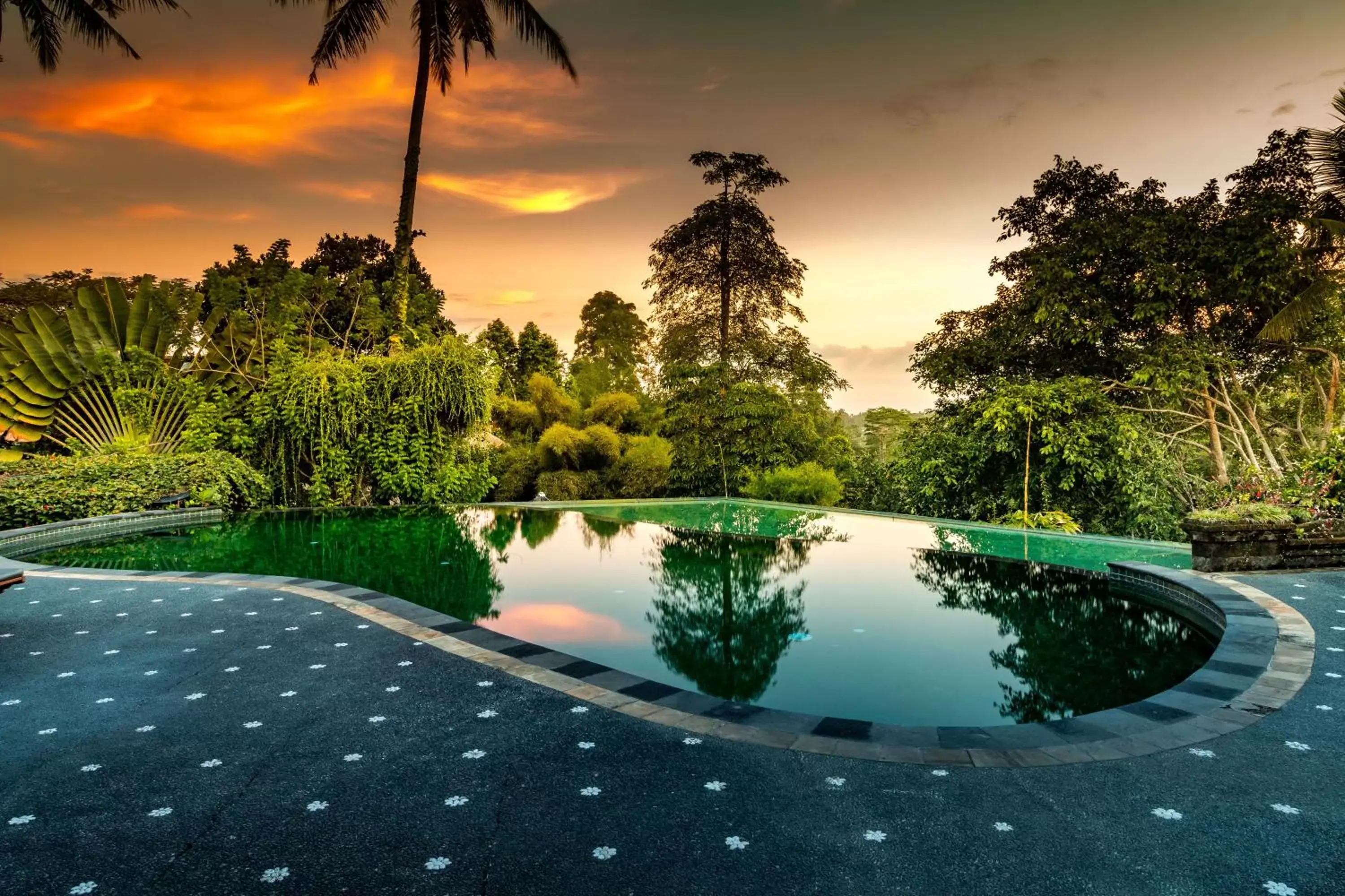 Garden view, Swimming Pool in Tanah Merah Art Resort