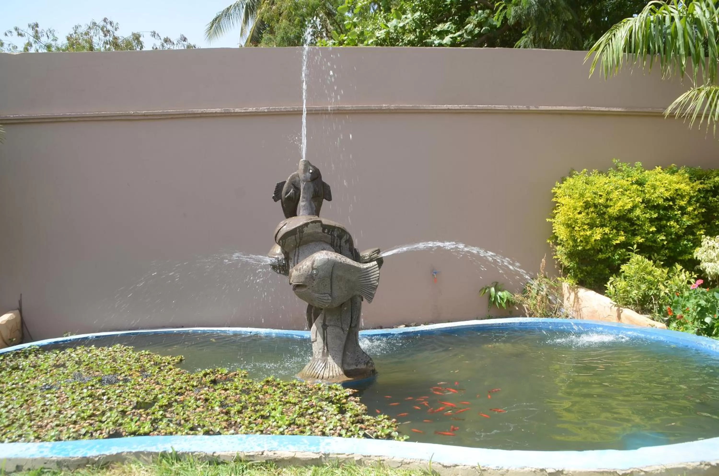 Swimming Pool in Hotel La Perle
