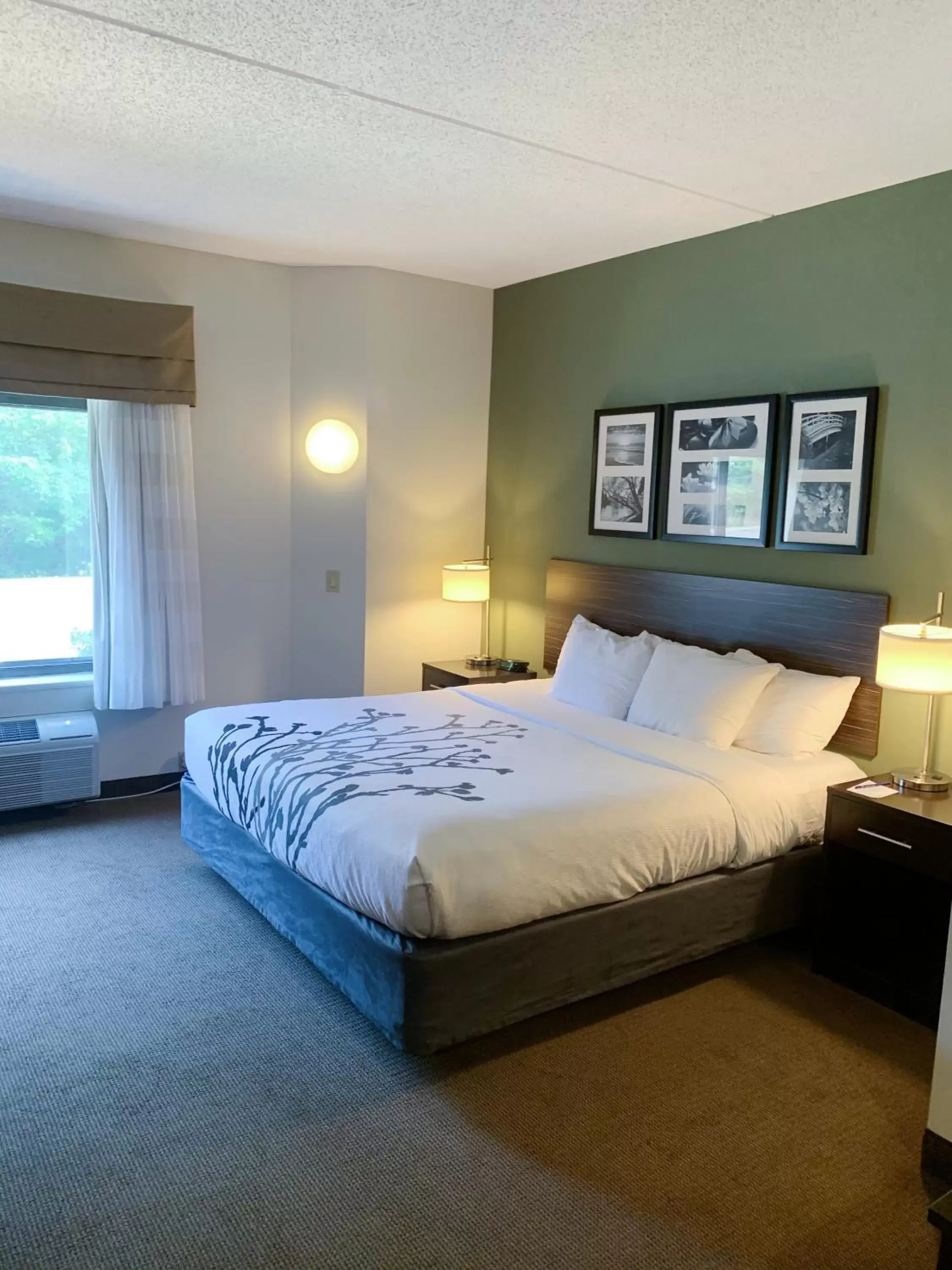 Queen Room with Roll-In Shower - Accessible/Non-Smoking in Sleep Inn & Suites Queensbury - Lake George