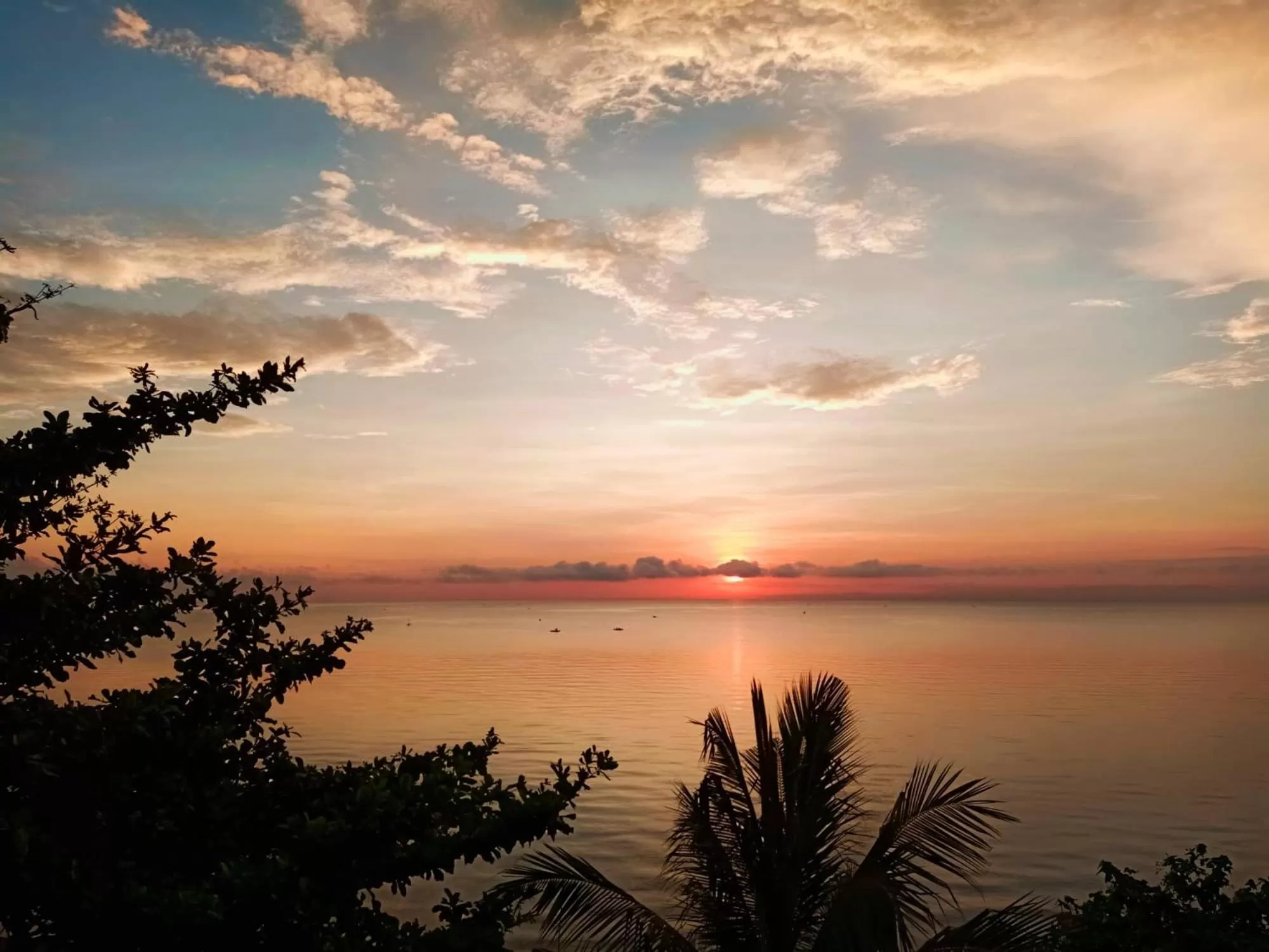 SmallFry's Beach Resort