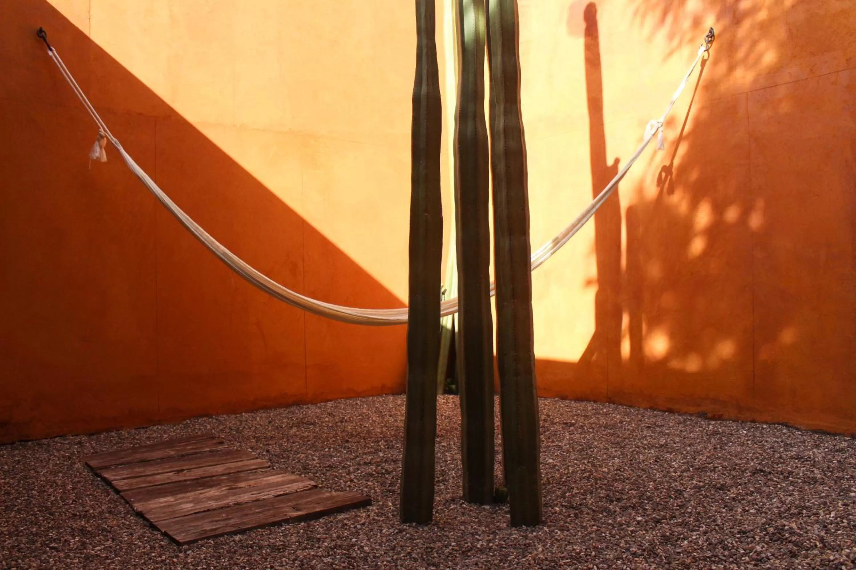 Patio in Hotel Cosijo - San Jeronimo Tlacochahuaya