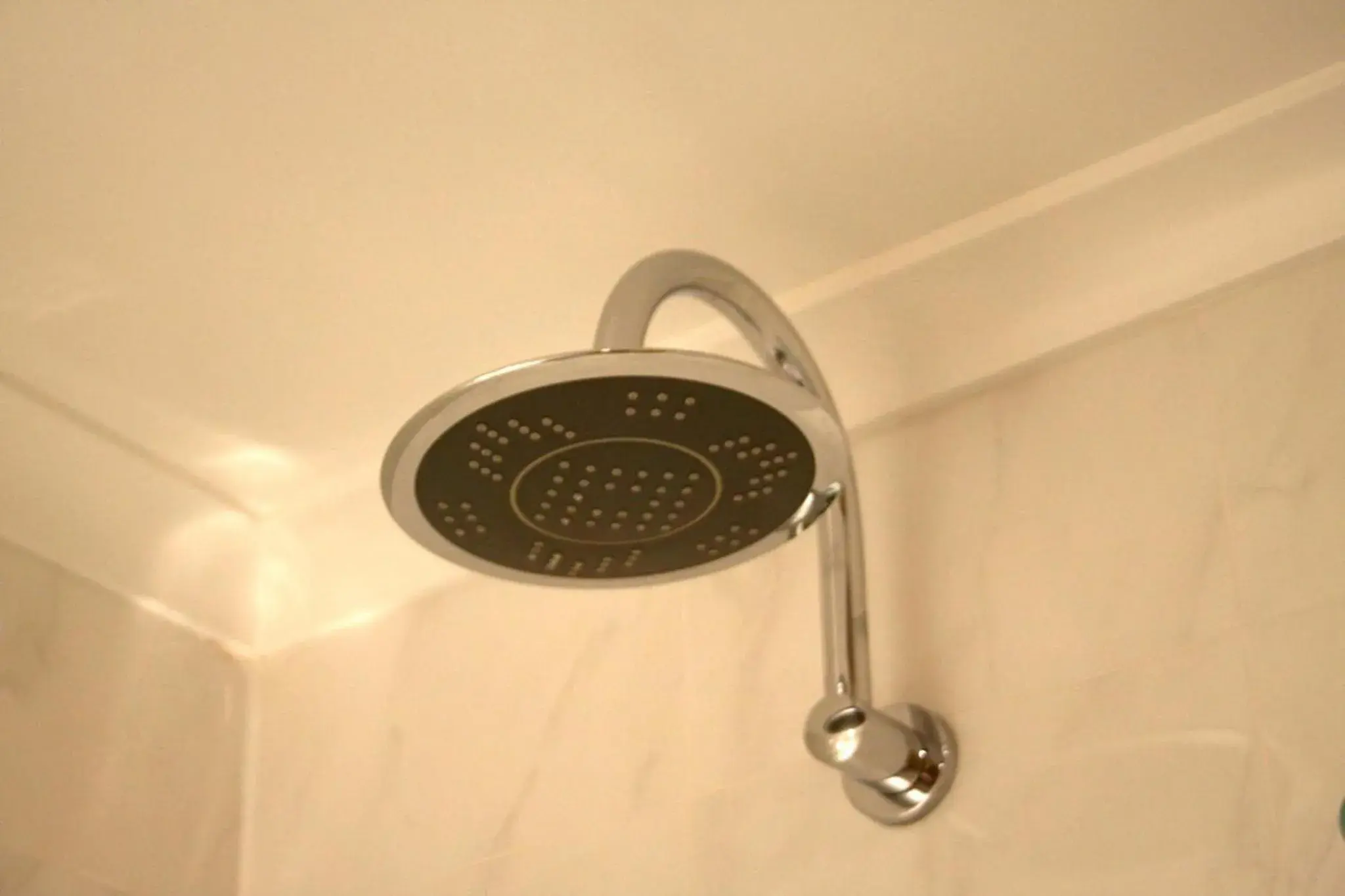 Shower, Bathroom in Garden Lodge Sydney Hotel