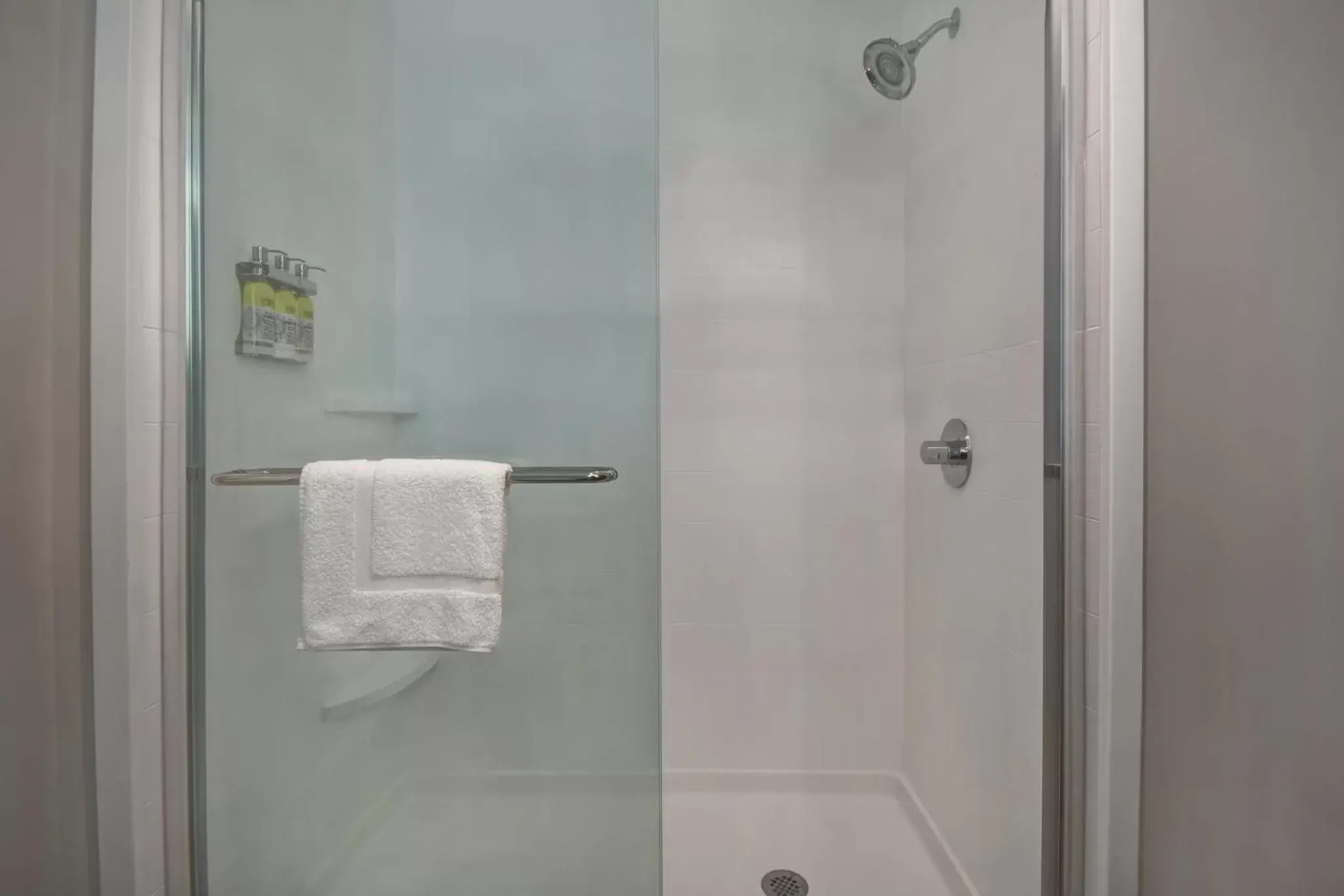Bathroom in Holiday Inn Express & Suites - Galveston Beach, an IHG Hotel