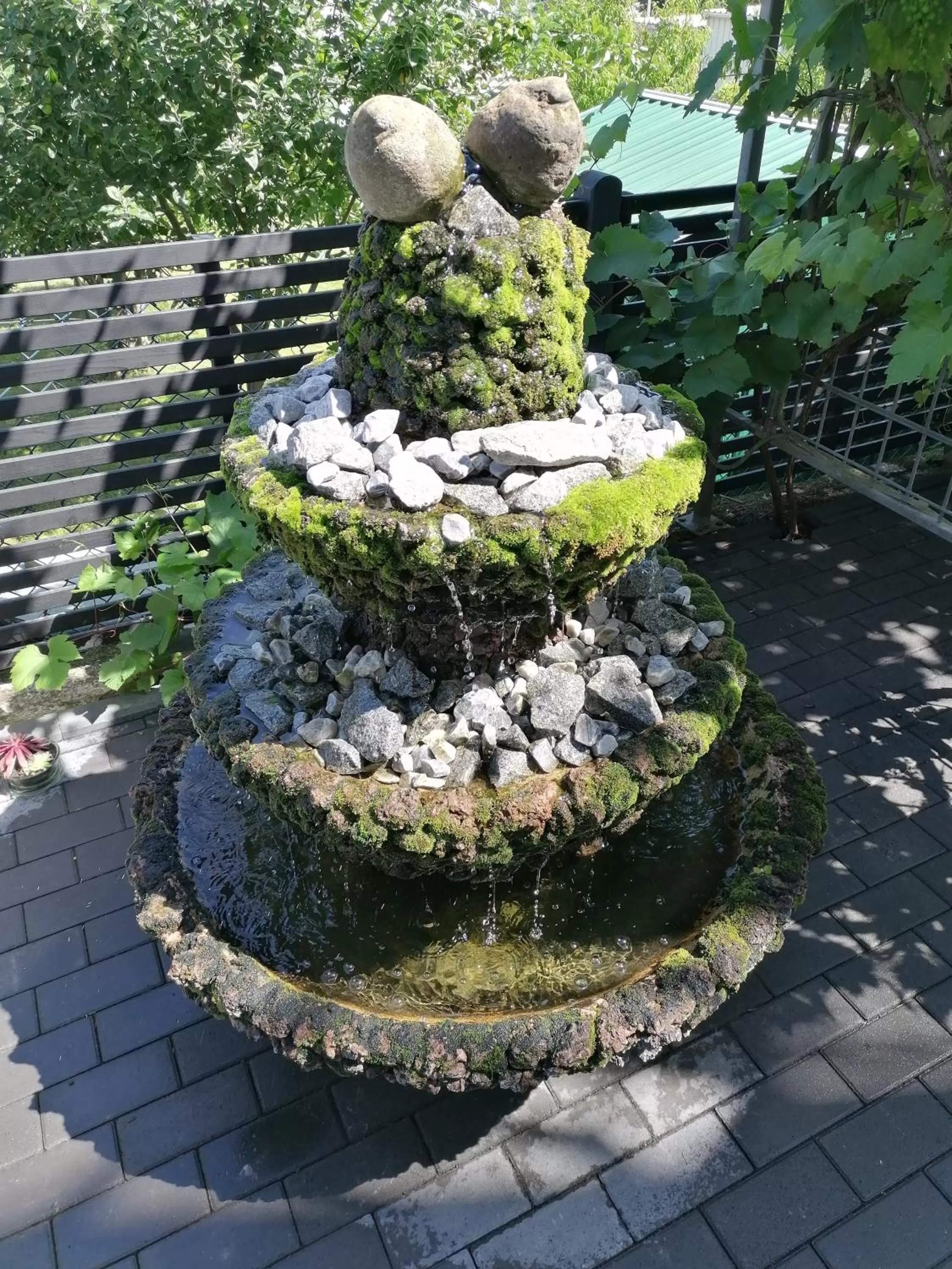 Garden in Moselromantik Hotel Am Panoramabogen