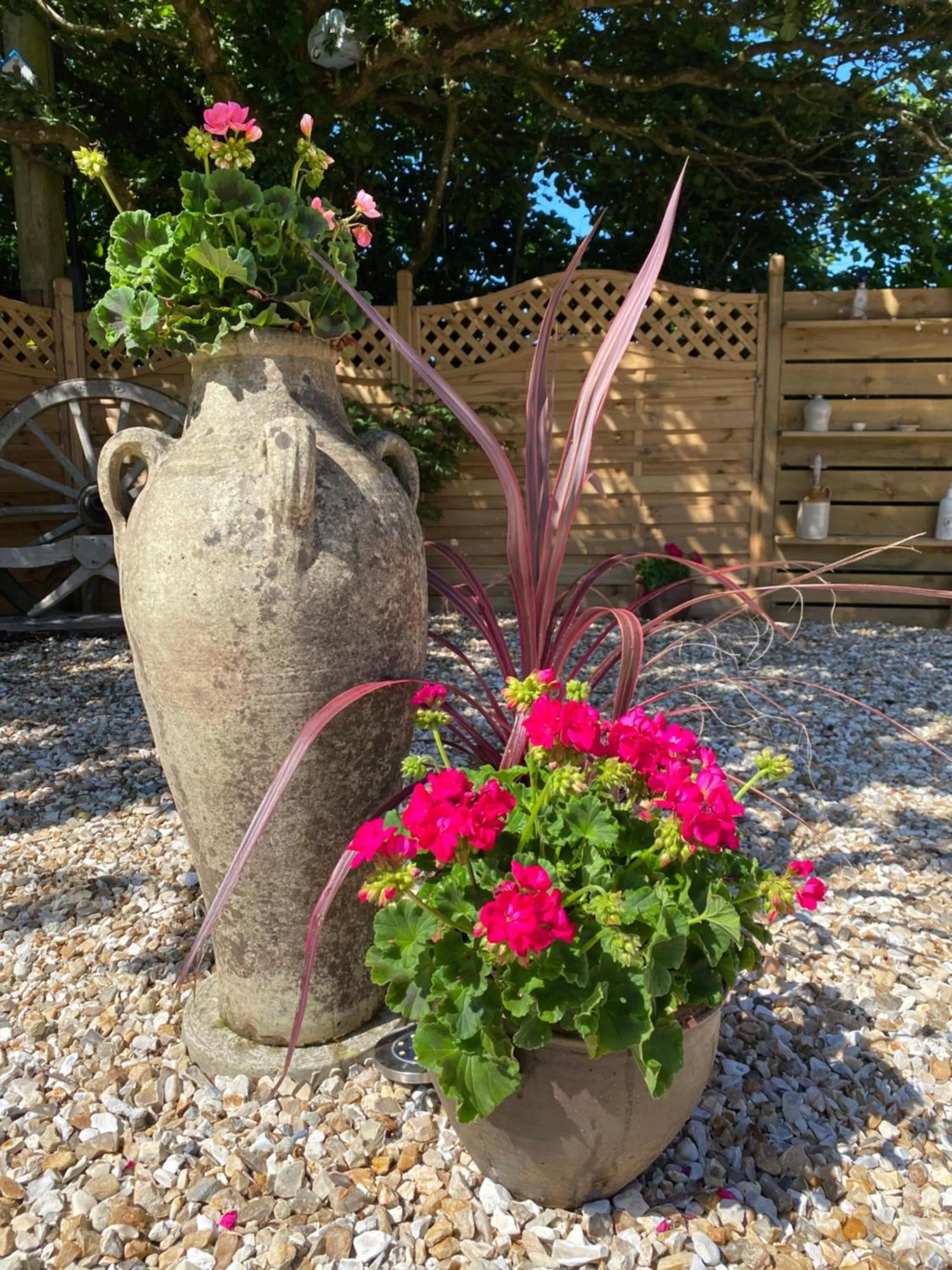 Toppesfield House B&B