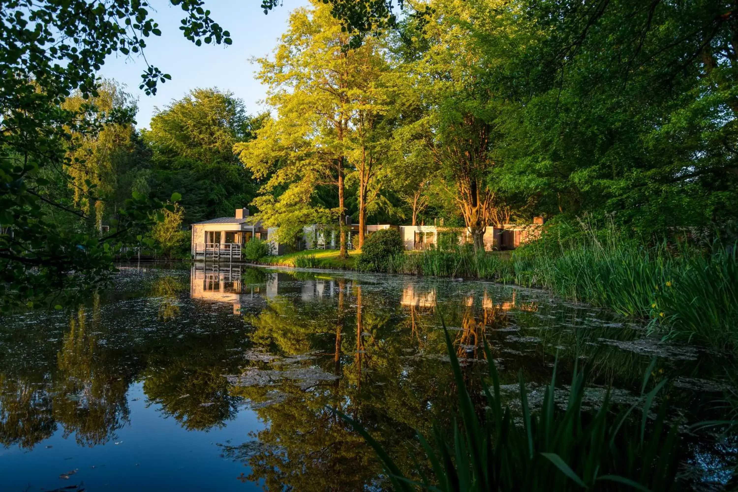 Natural landscape in Hotel Eemhof by Center Parcs