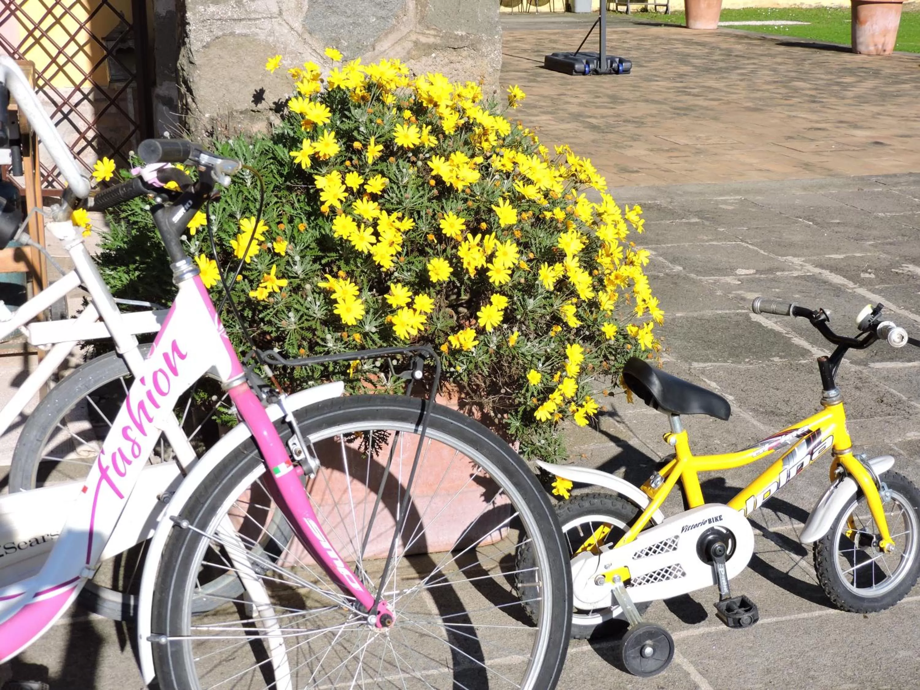 Activities in Casale Fedele Family Village Vicino al Borgo