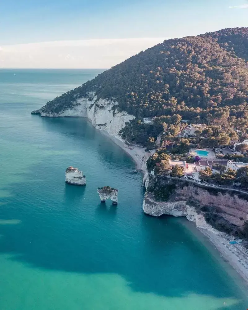 Bird's-eye View in D'Aleammare - Rooms