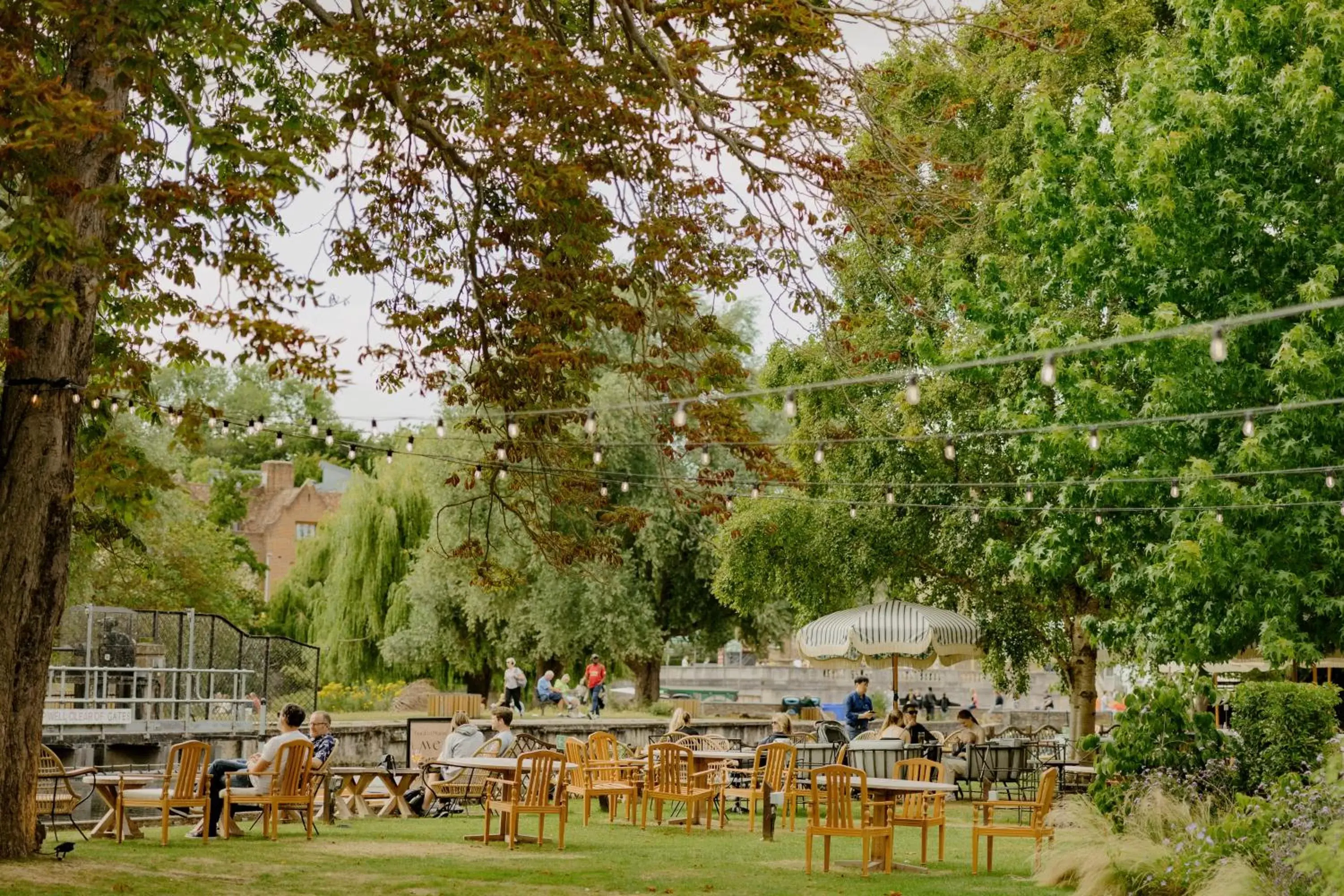 Garden in Graduate Cambridge