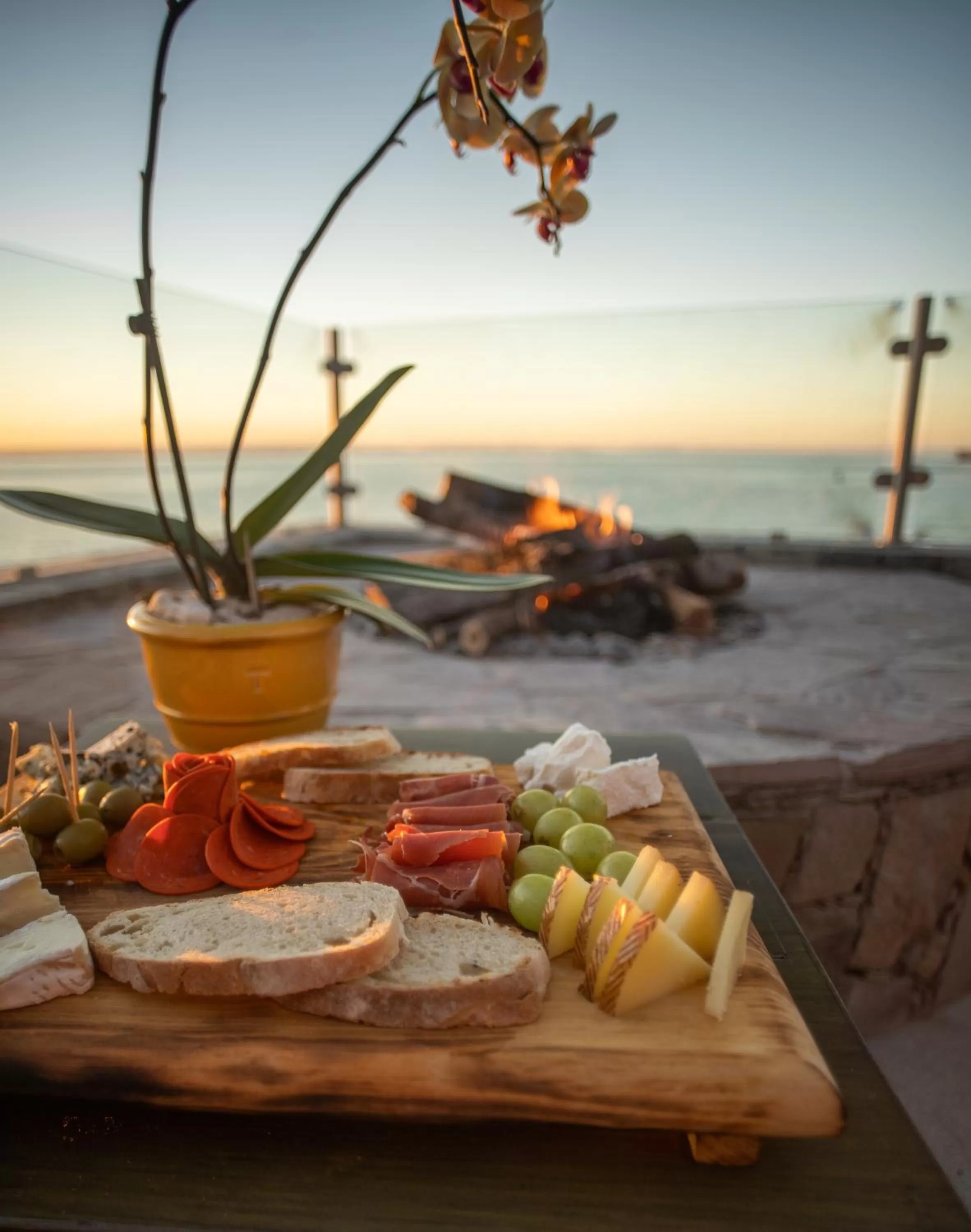 Activities in Orchid House Baja