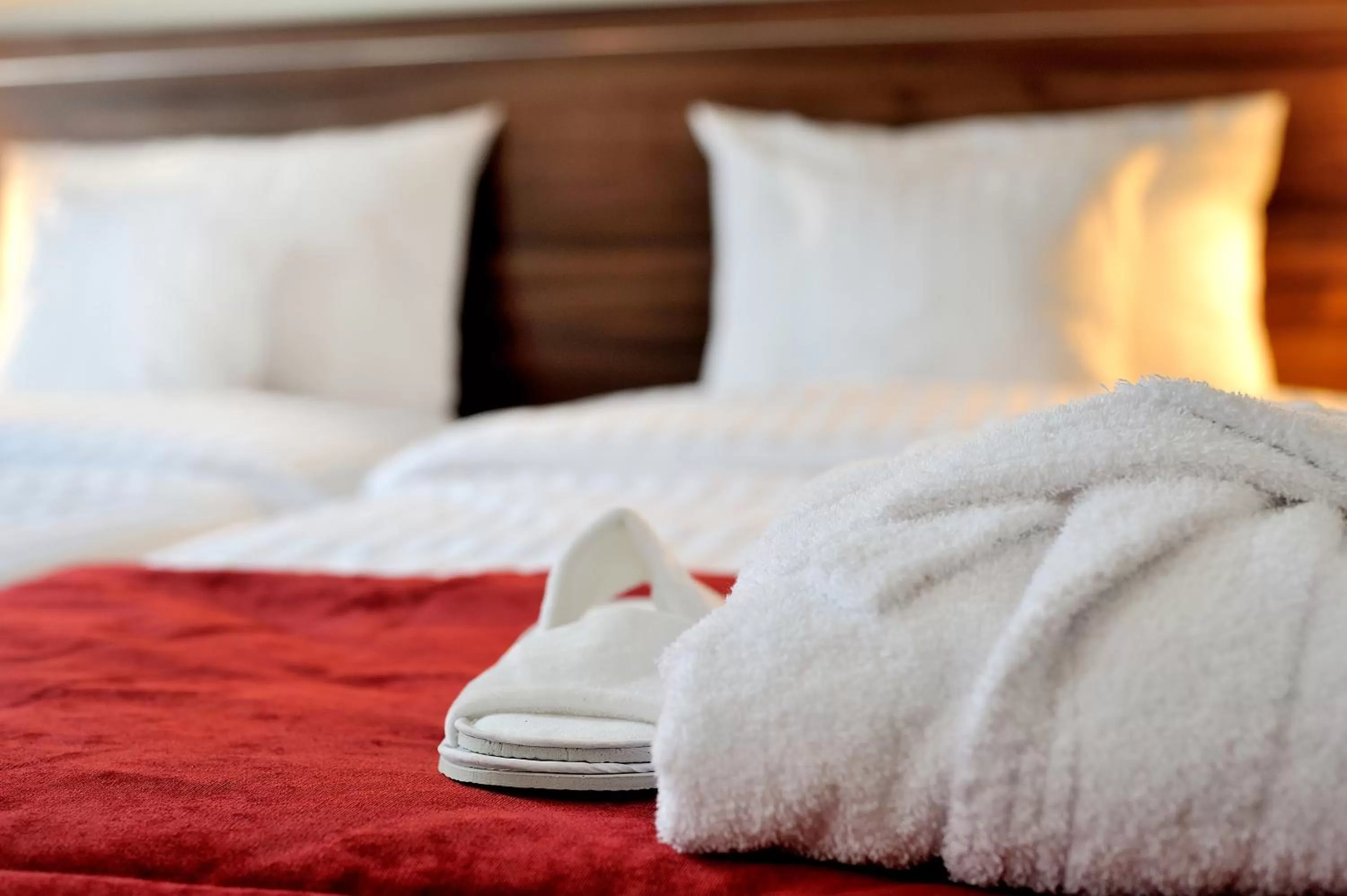 Decorative detail, Bed in Hotel Centrum Sosnowiec