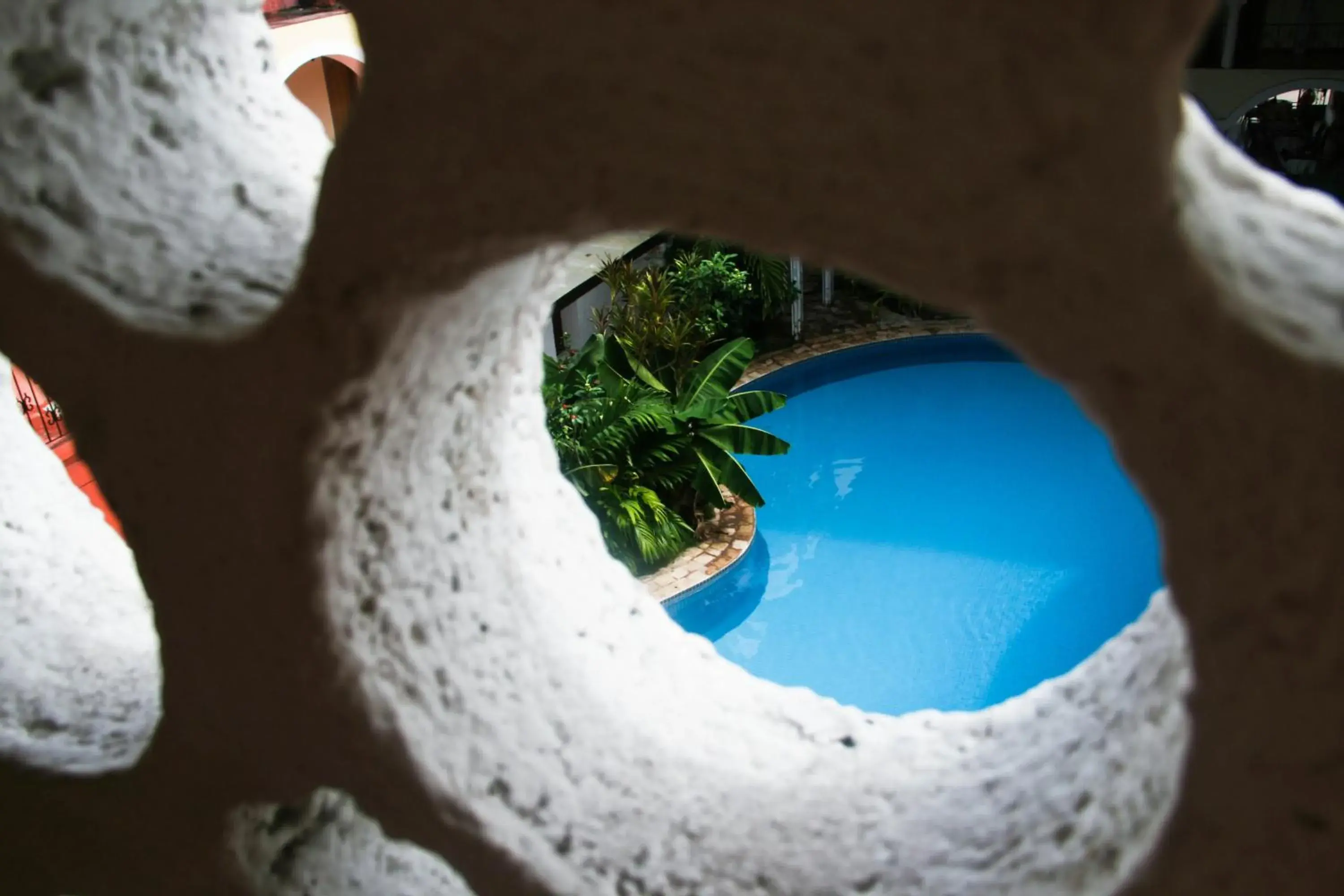 Pool View in Hotel María de la Luz by Rotamundos