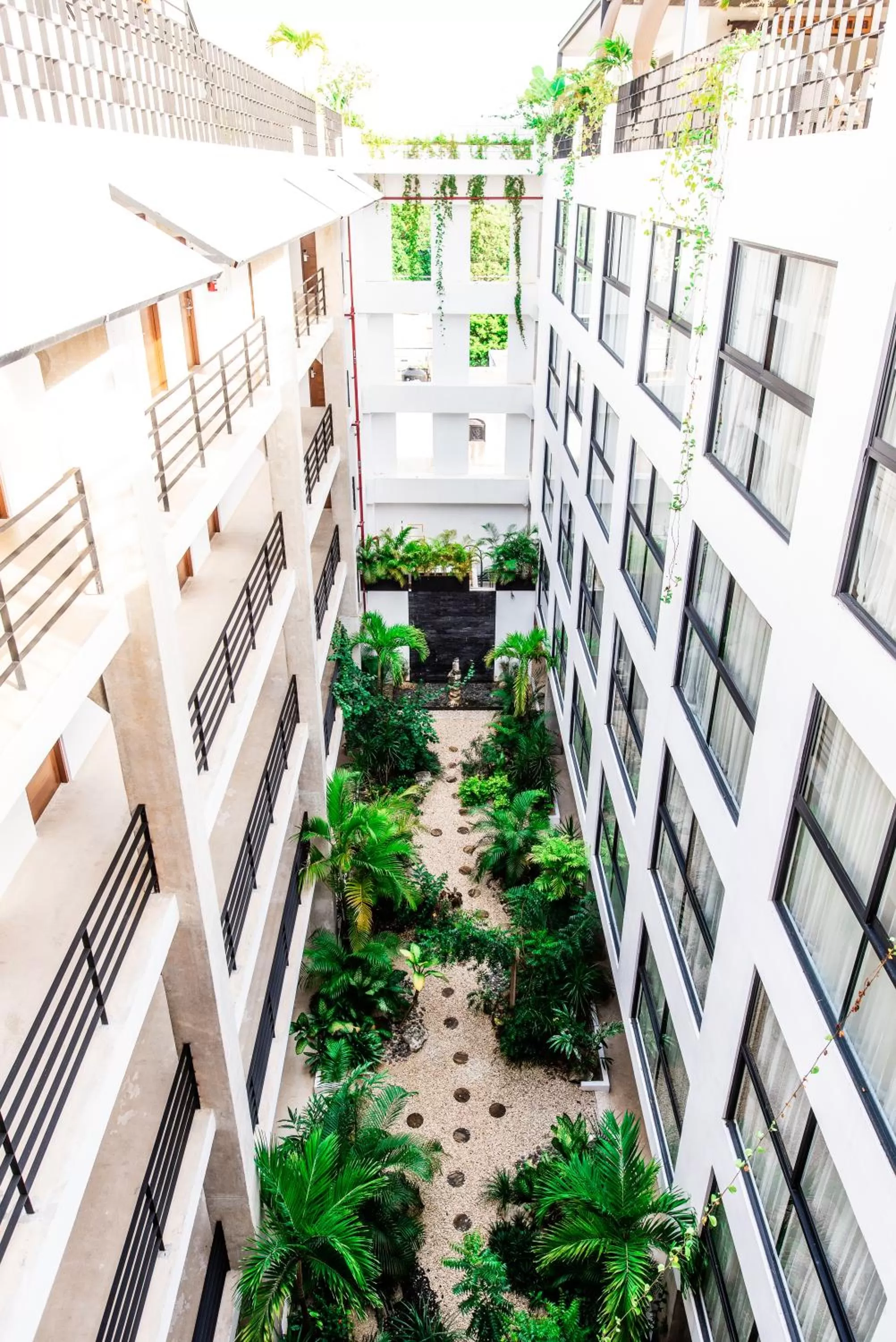 Garden view in Hotel 52 Playa del Carmen