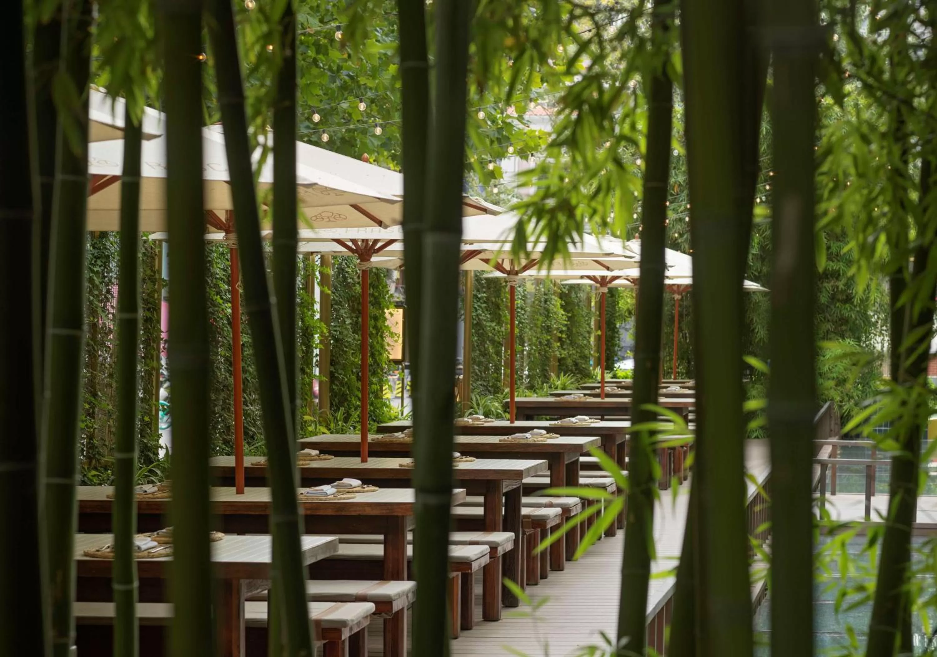 Restaurant/places to eat in The Opposite House