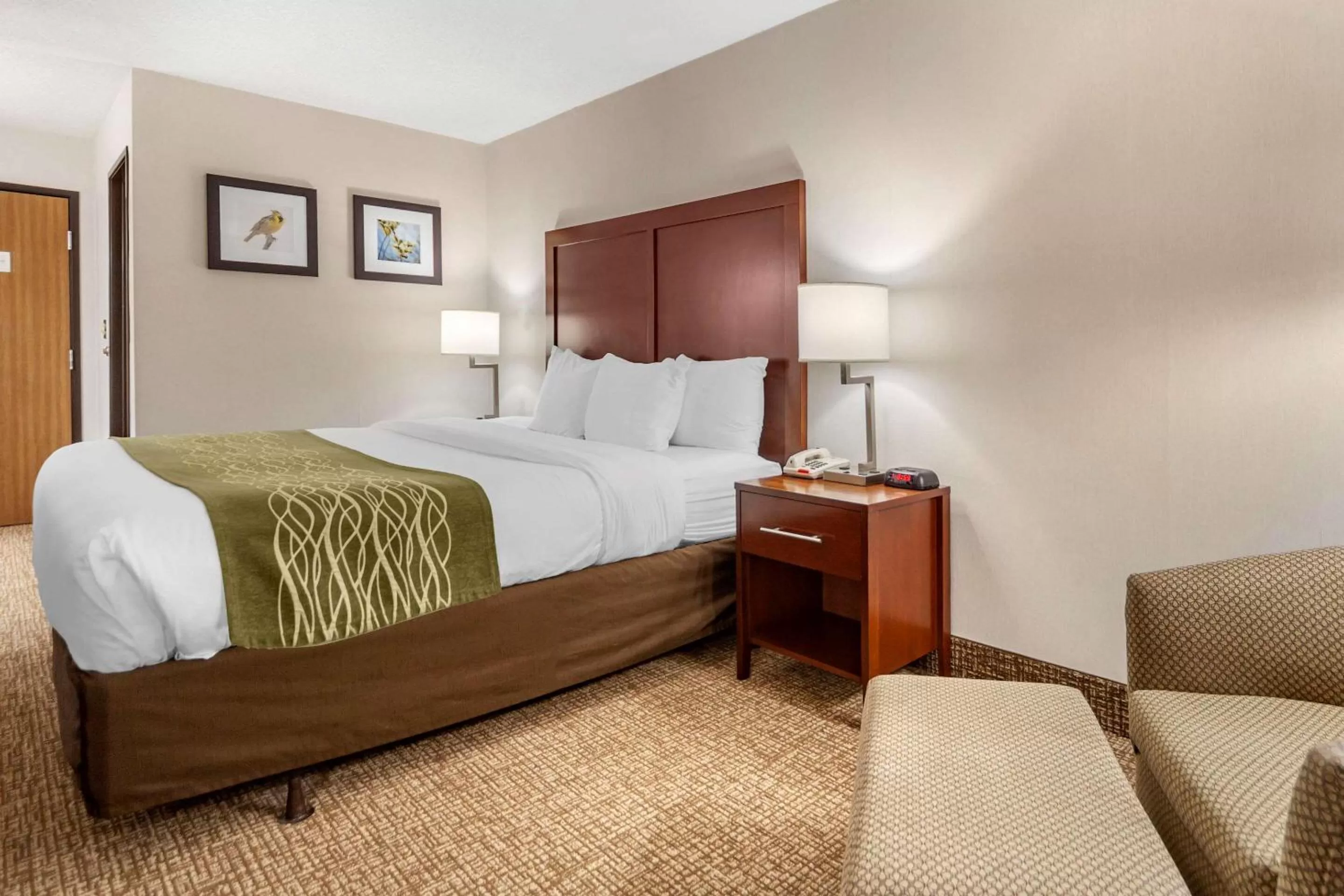 Photo of the whole room, Bed in Comfort Inn Grand Island North