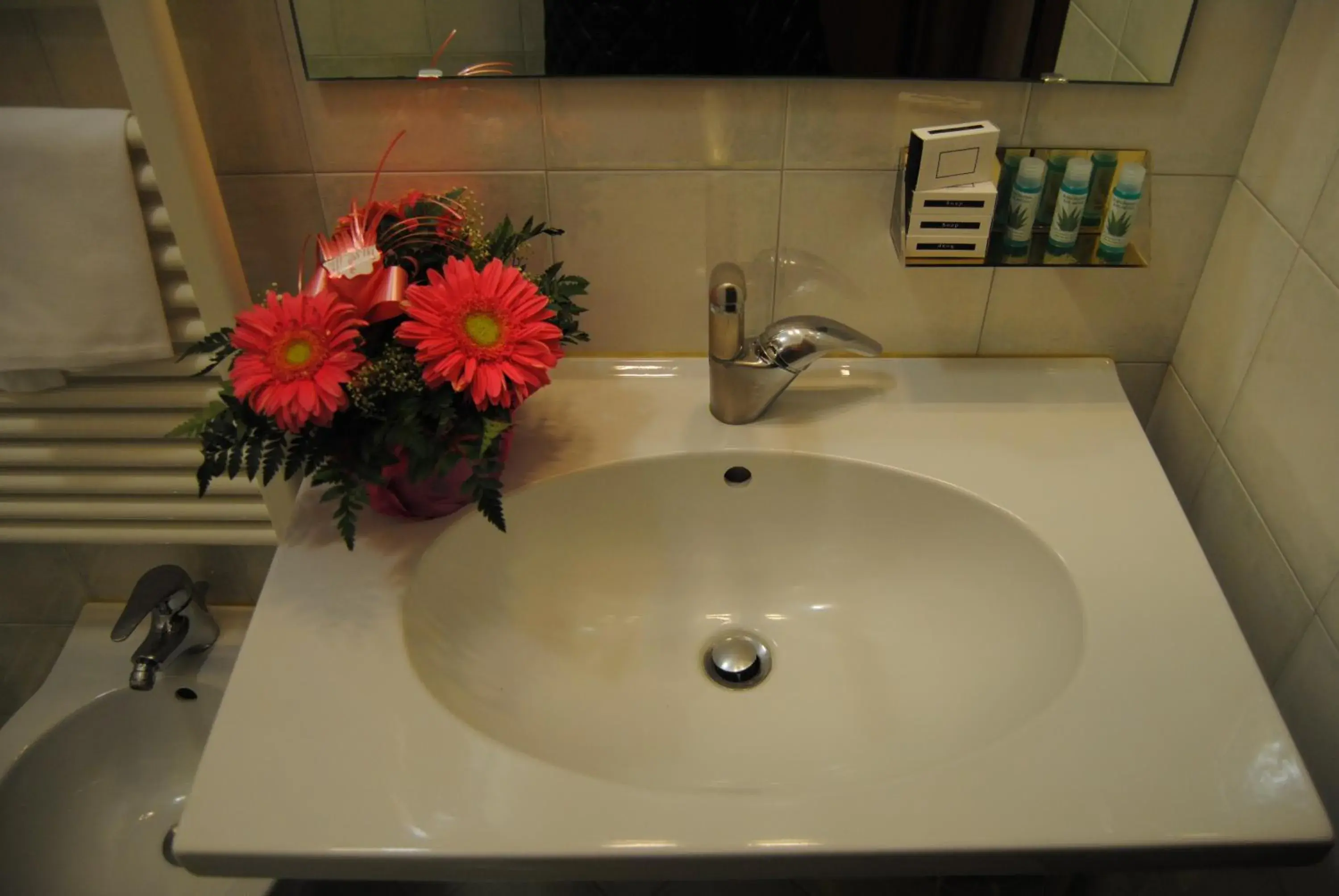 Decorative detail, Bathroom in Hotel Aquila
