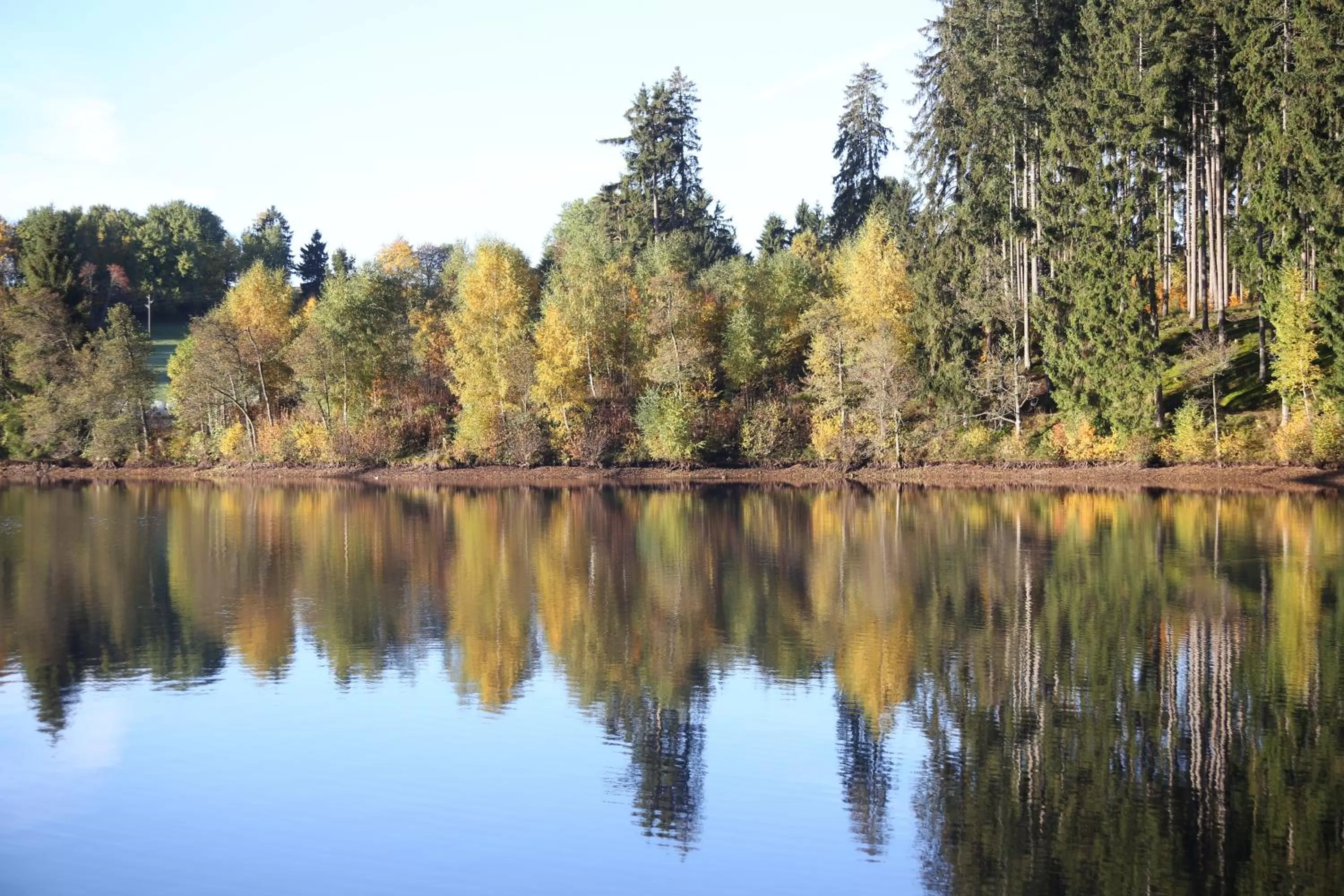 Natural landscape in Wellnesshotel Sonnenhof & Sonnhalde