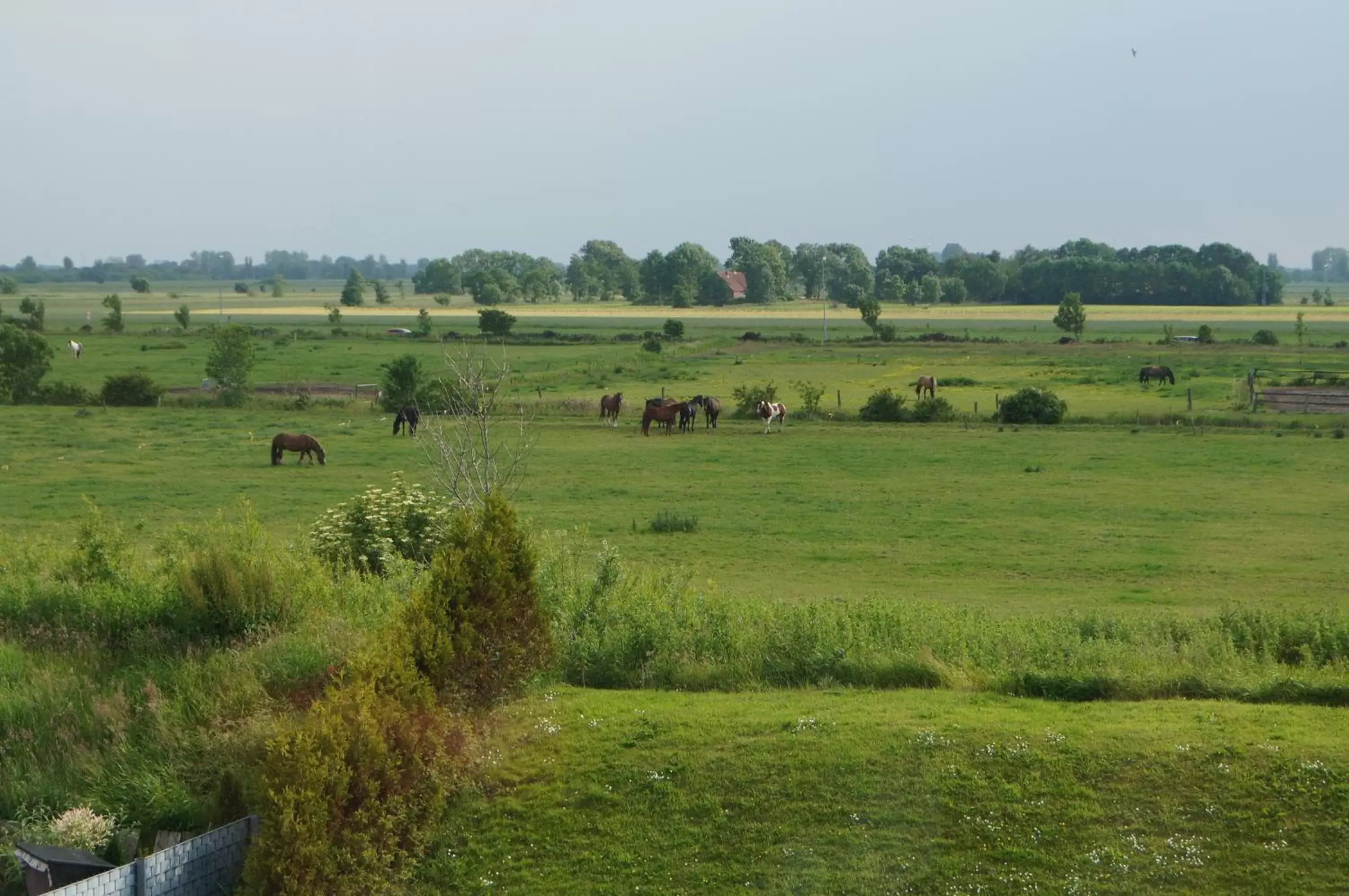 Natural landscape in Hotel Aquarius