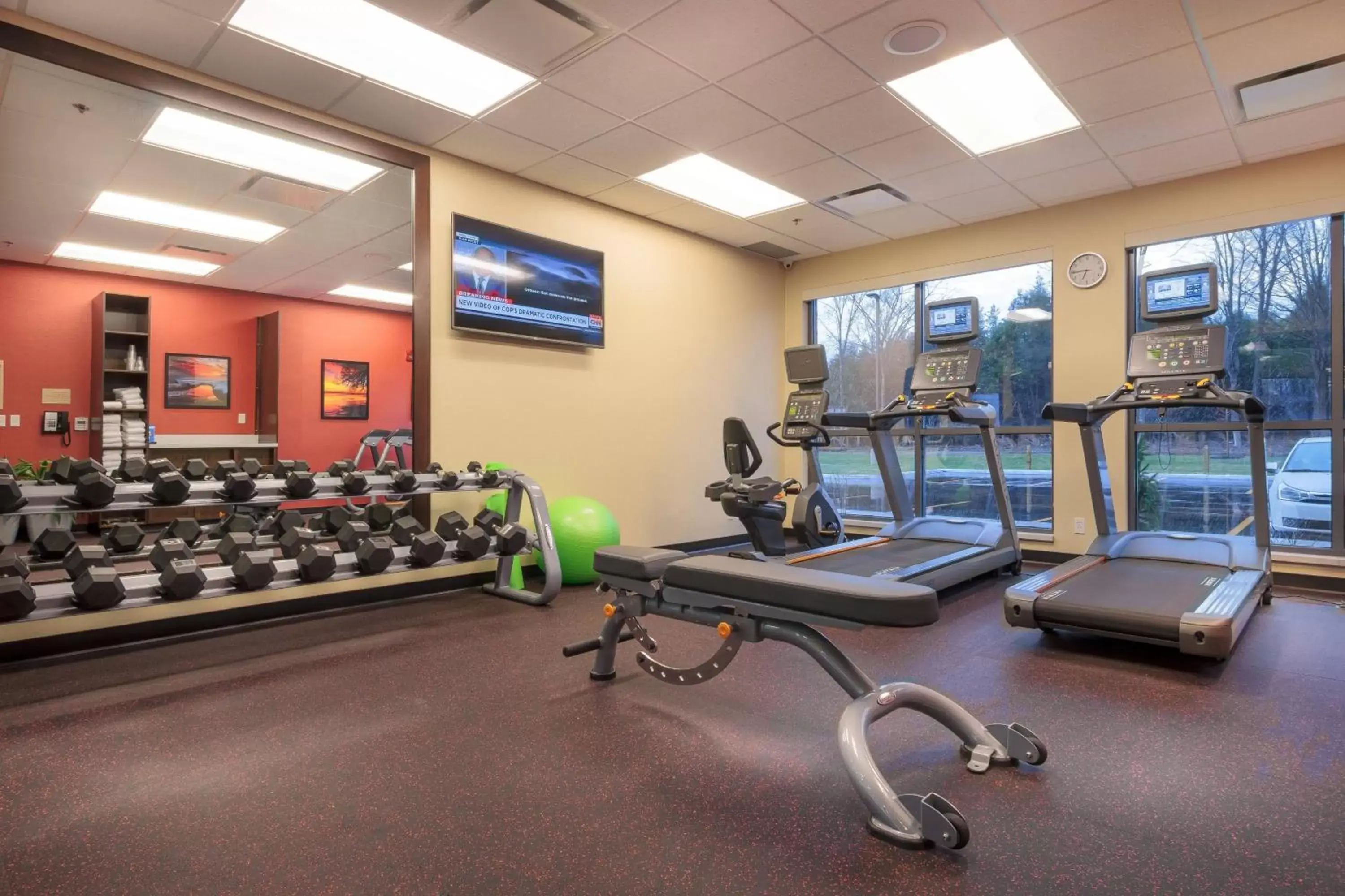 Fitness centre/facilities, Fitness Center/Facilities in TownePlace Suites by Marriott Belleville