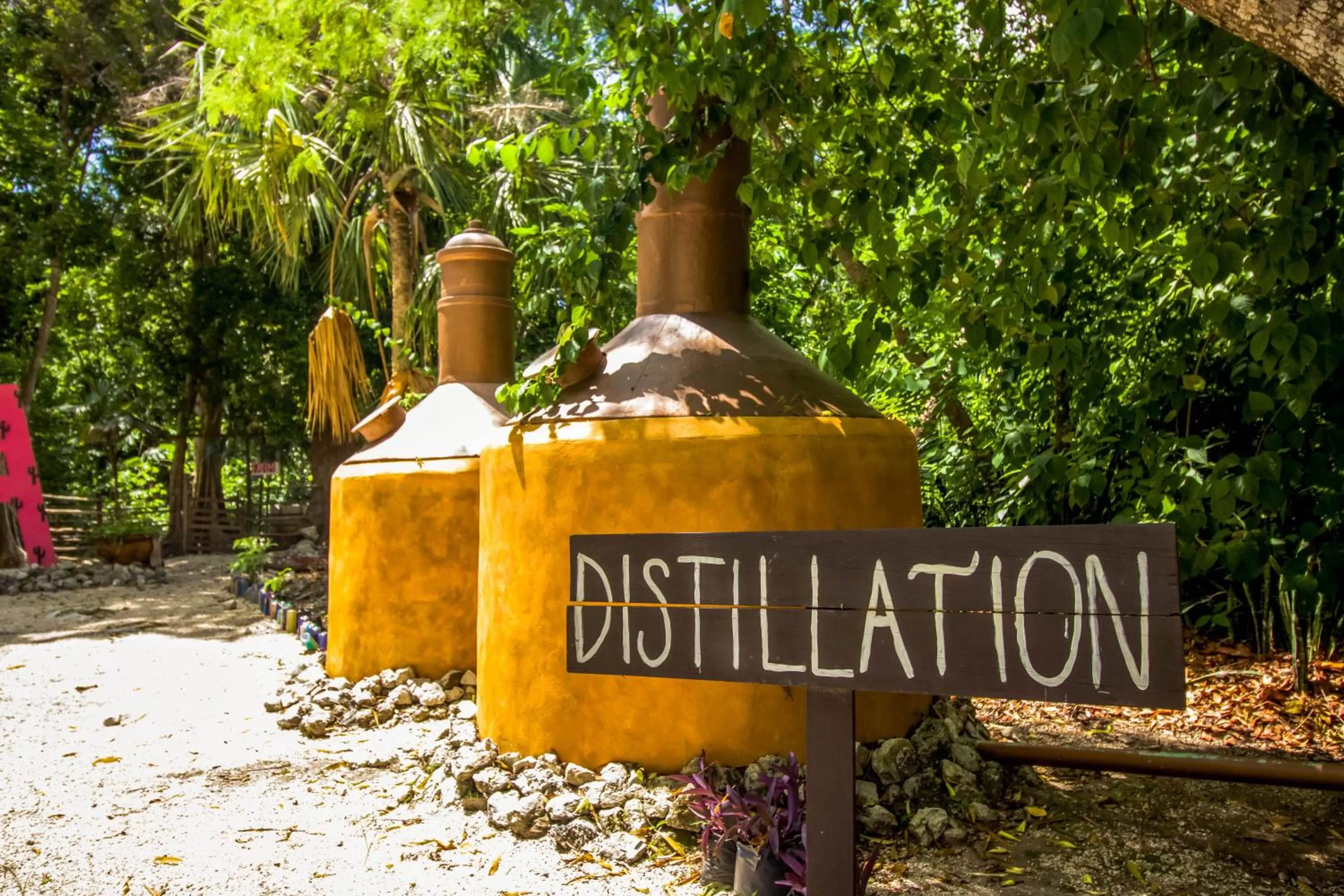 Property building in Hotel Tequila Cancun